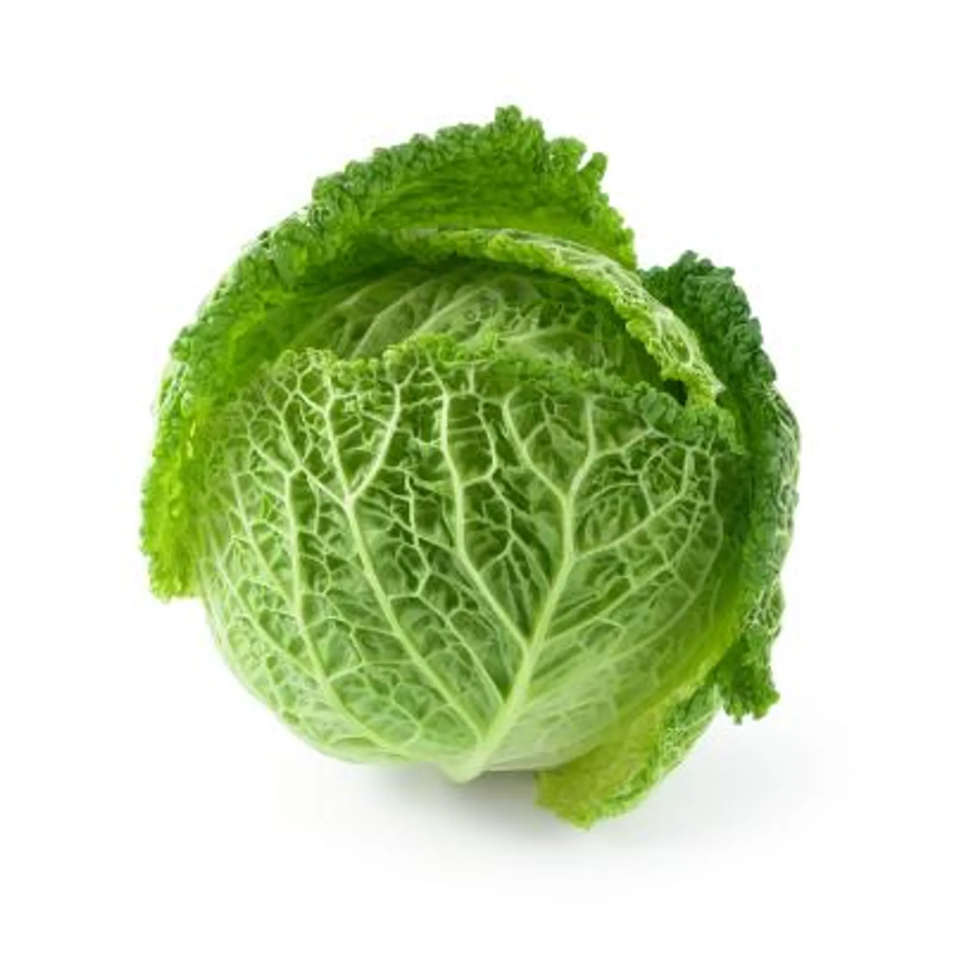 Savoy cabbage