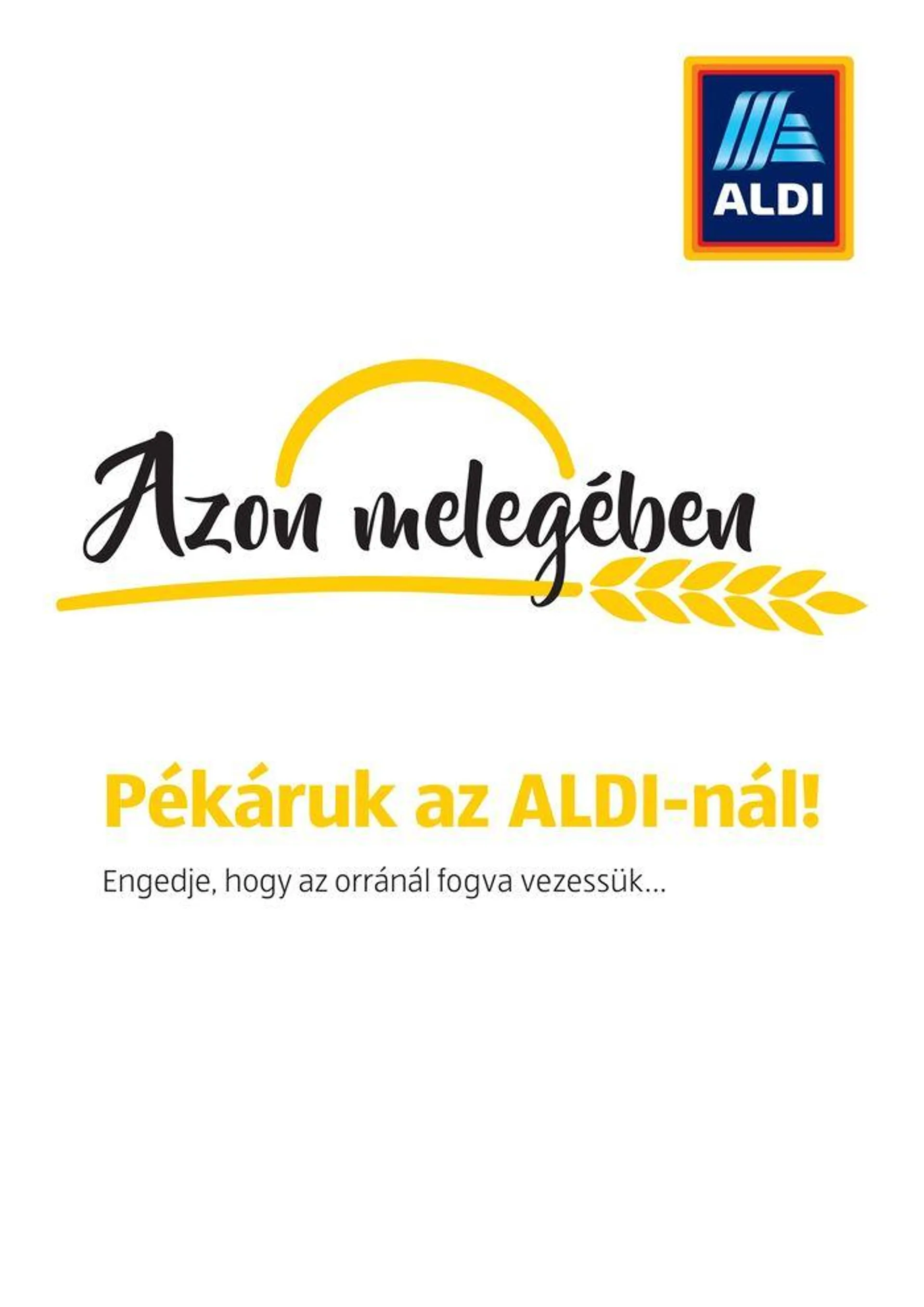 Aldi akciós - 1