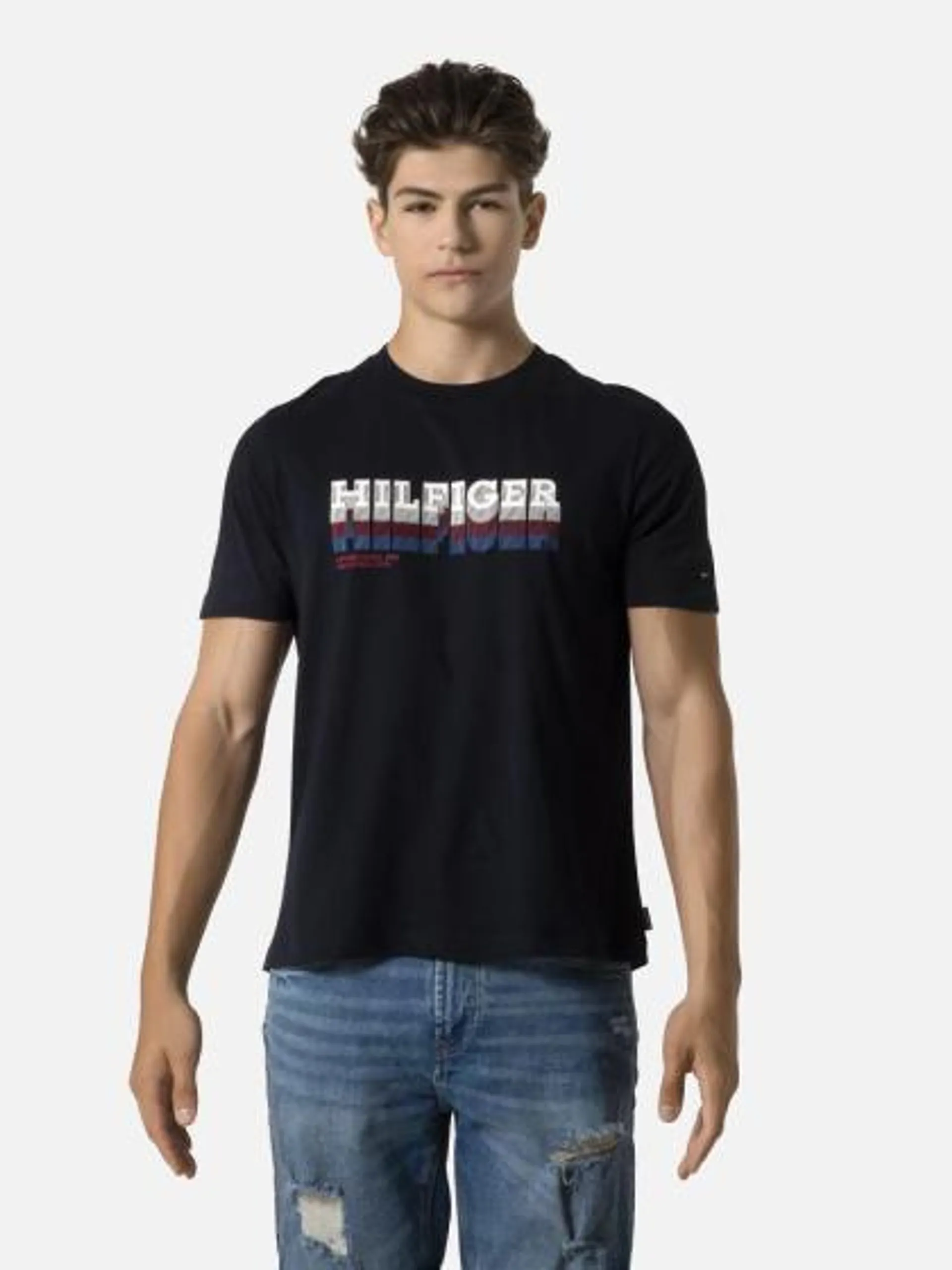 TommyHilfiger FADE HILFIGER TEE