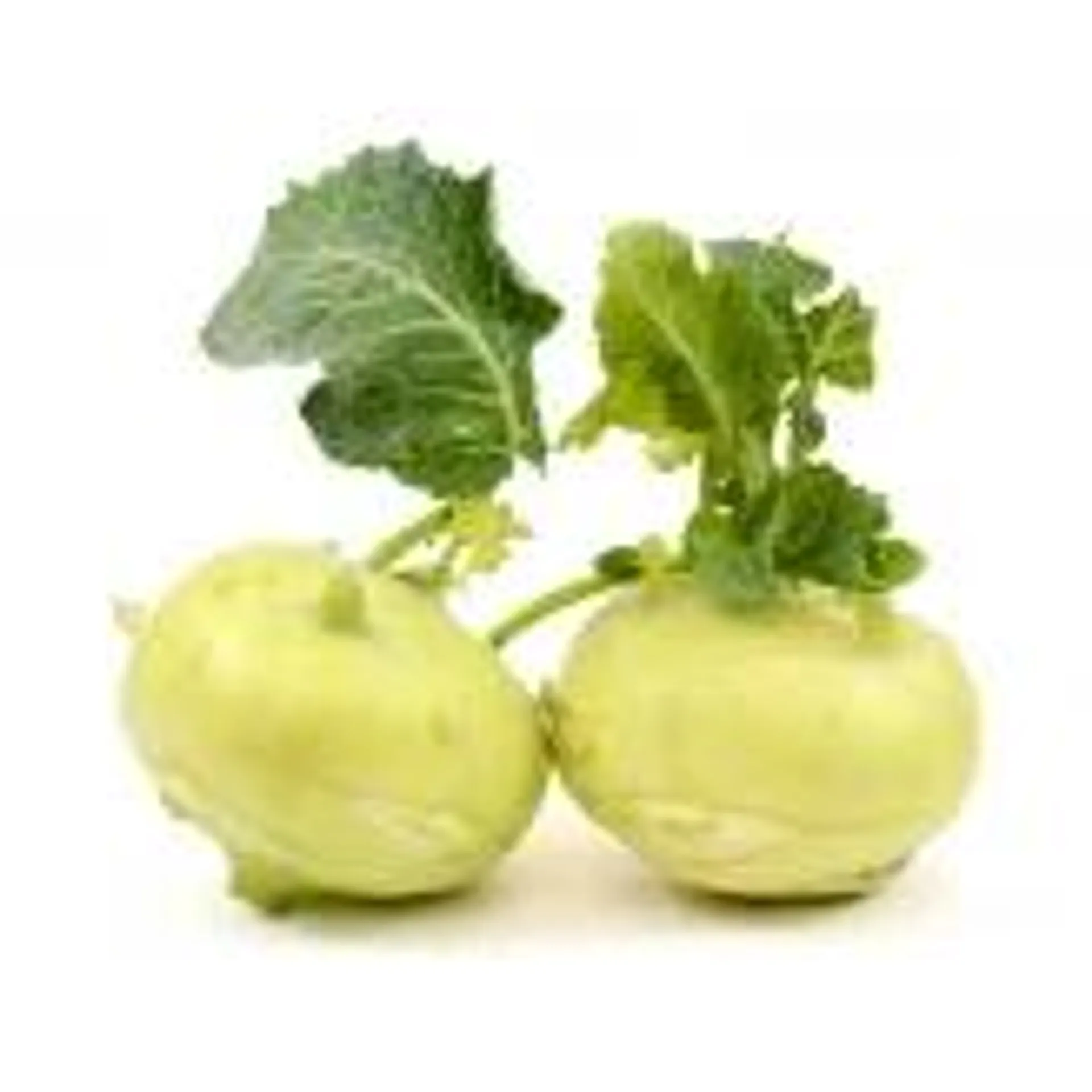 Kohlrabi