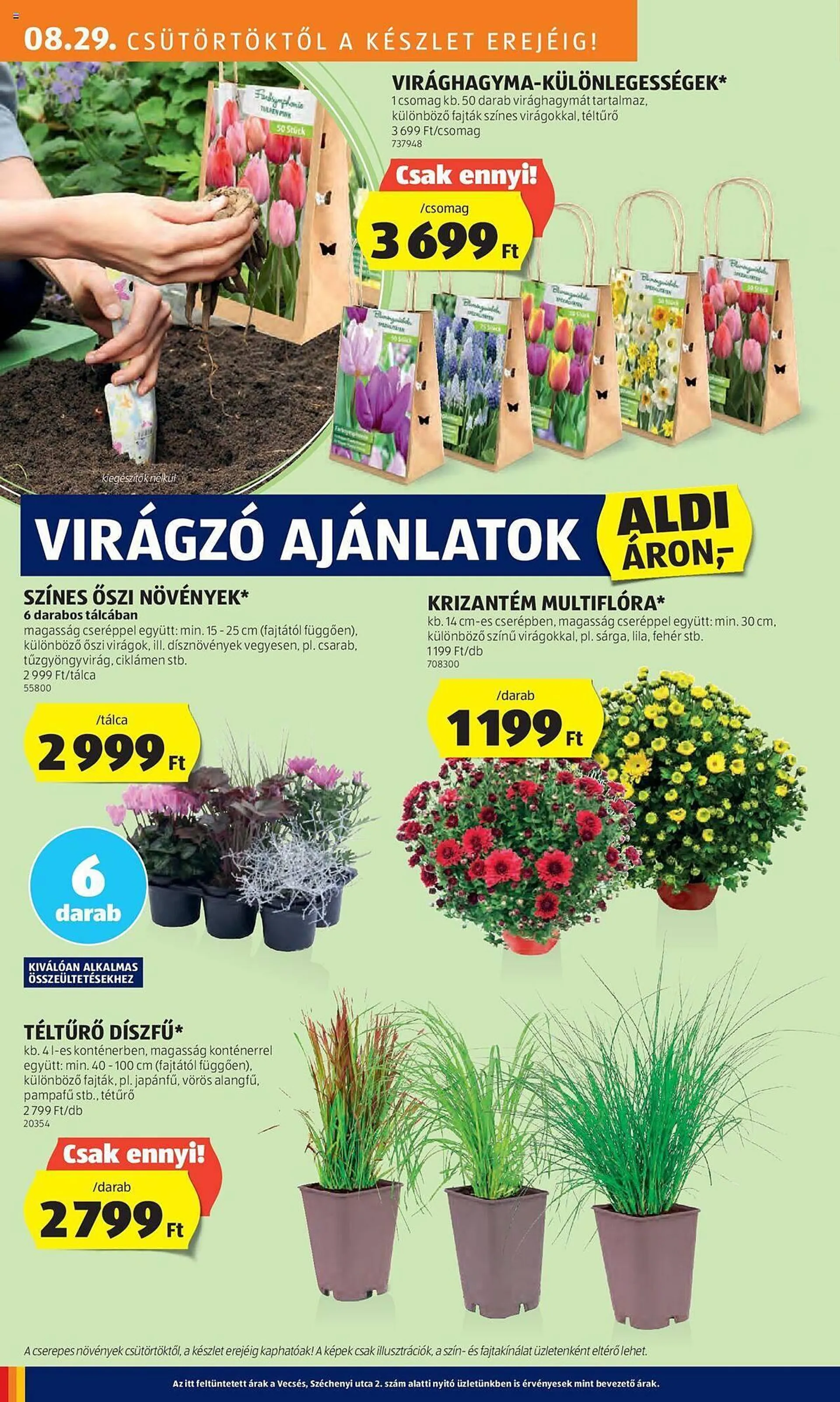 ALDI akciós újság - 24