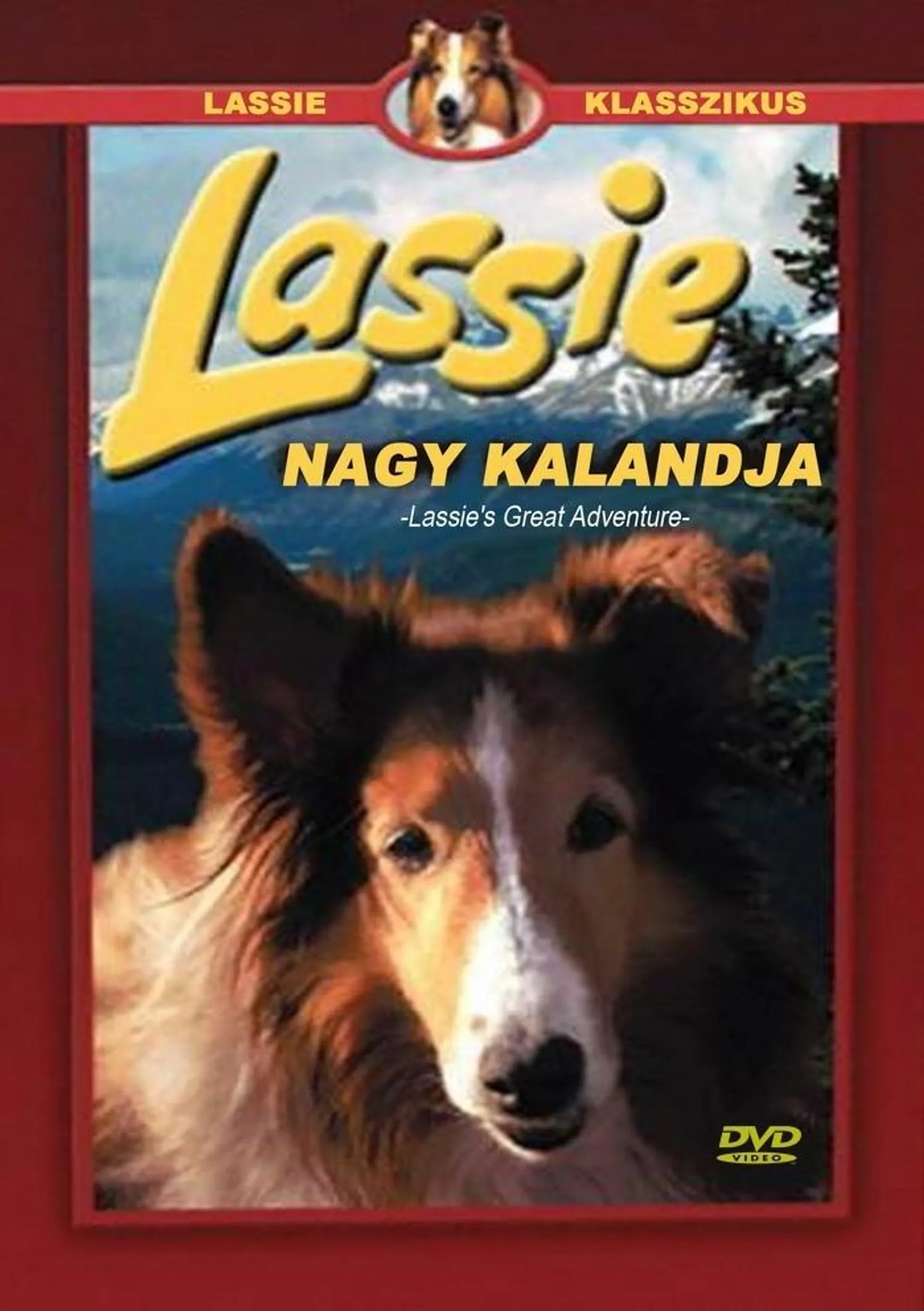 Lassie nagy kalandja