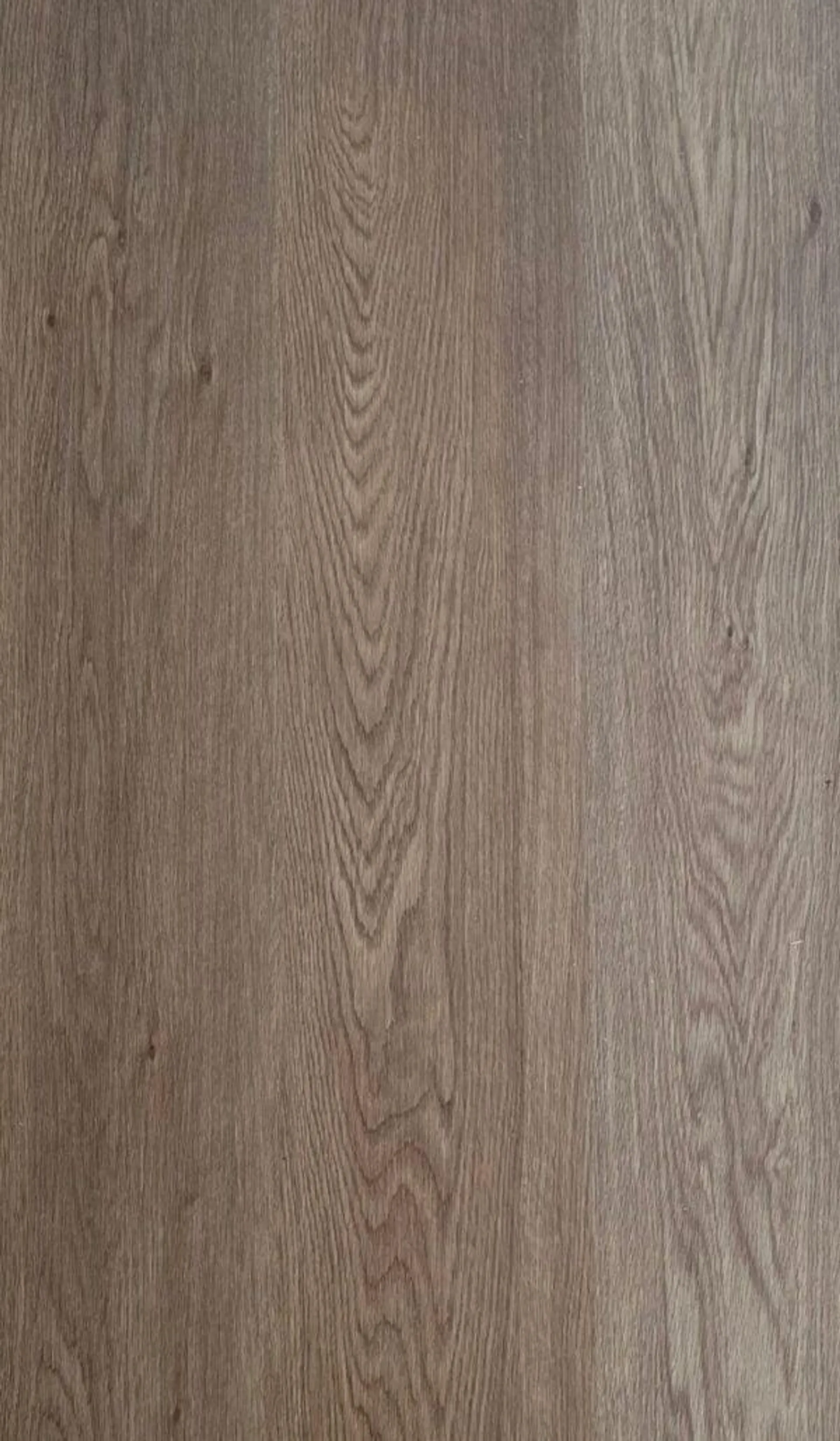 SPC Kiruna Oak 1236-20A