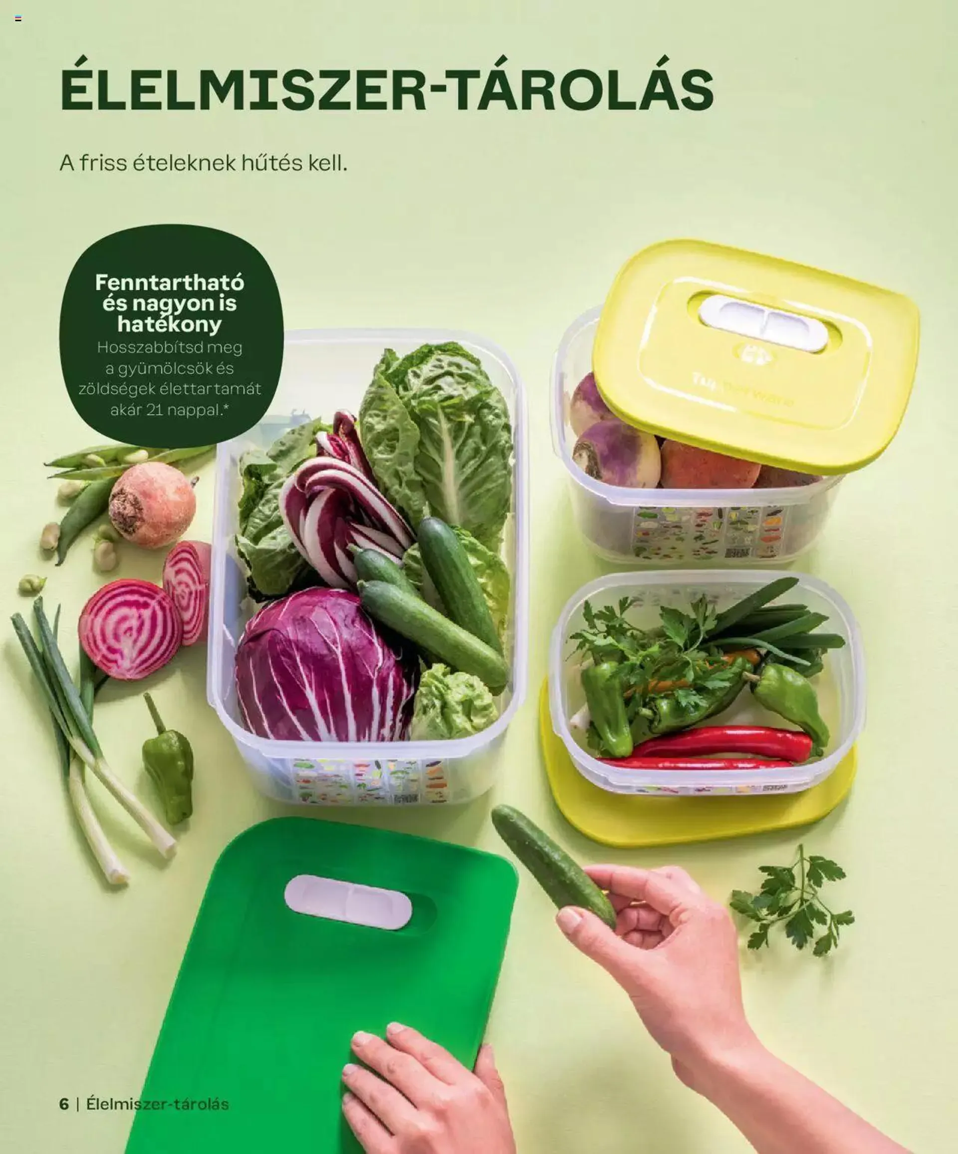 Katalógus Tupperware - Tavaszi-nyári katalógus március 1.-tól december 31.-ig 2024. - Oldal 6