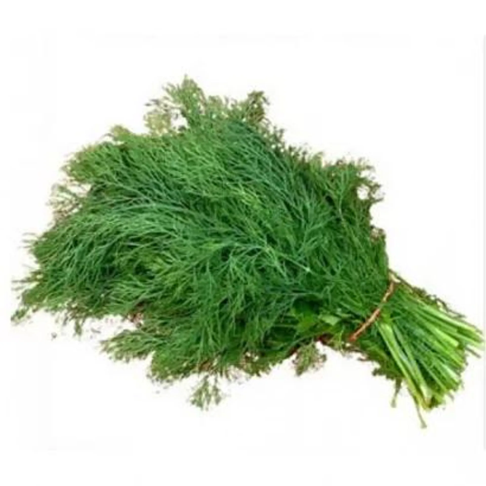 Dill bunch XL