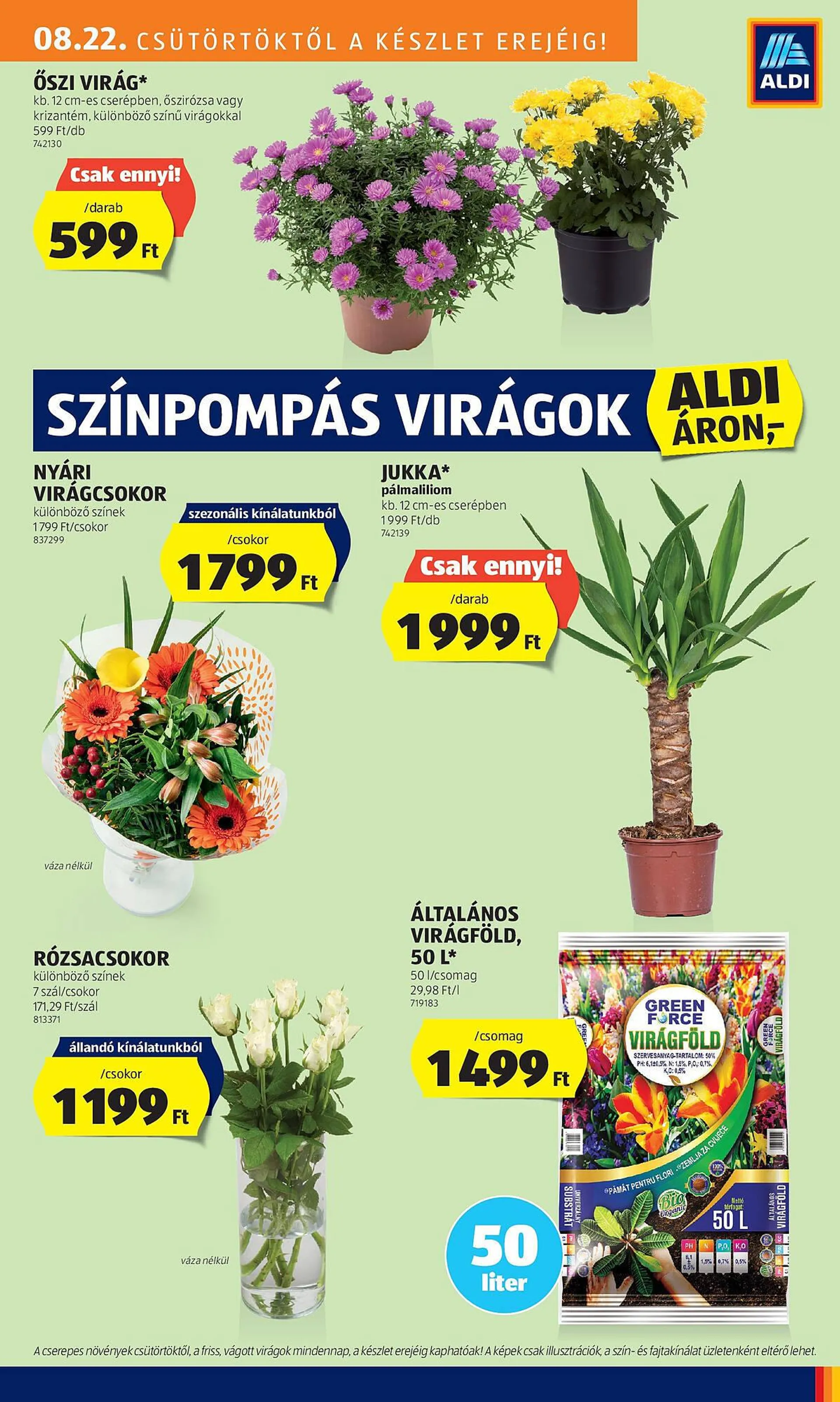 ALDI akciós újság - 25