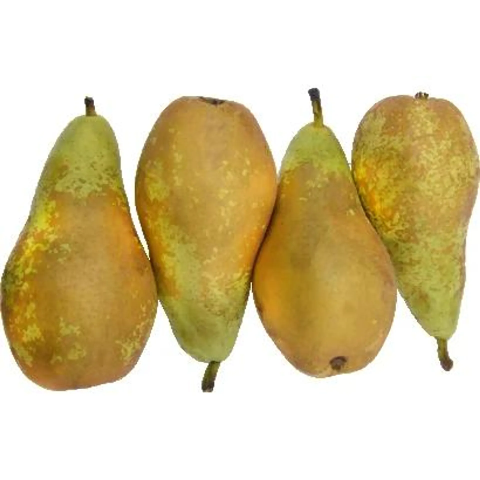 Pear conference