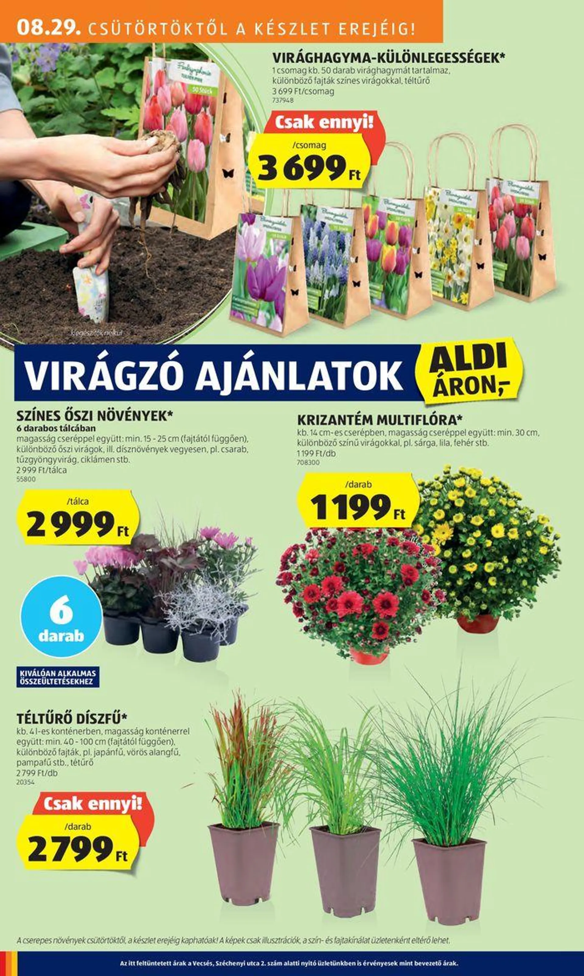 Következő heti ALDI akciós újság - 24