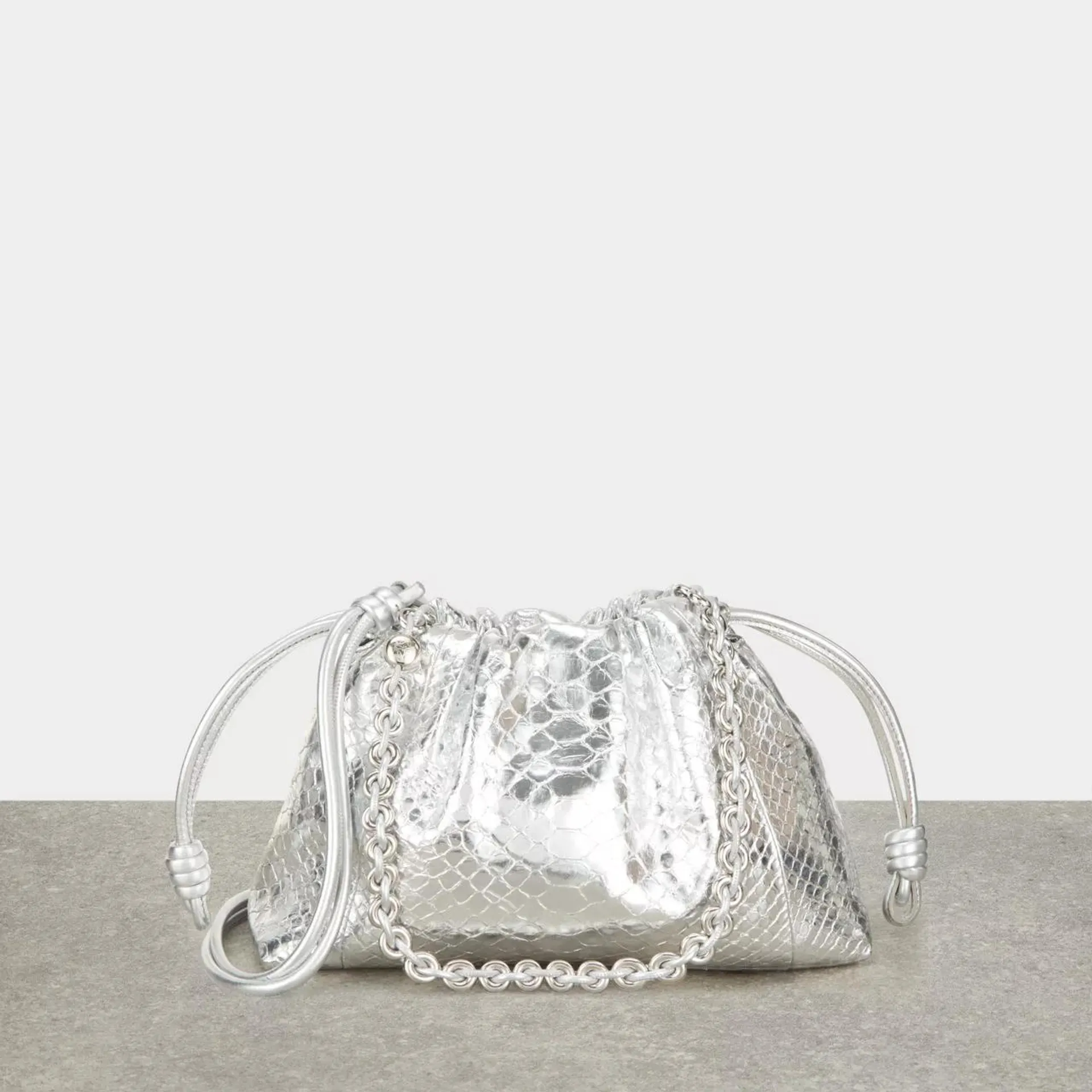 LOEWE Flamenco Metallic Purse Shoulder Bag