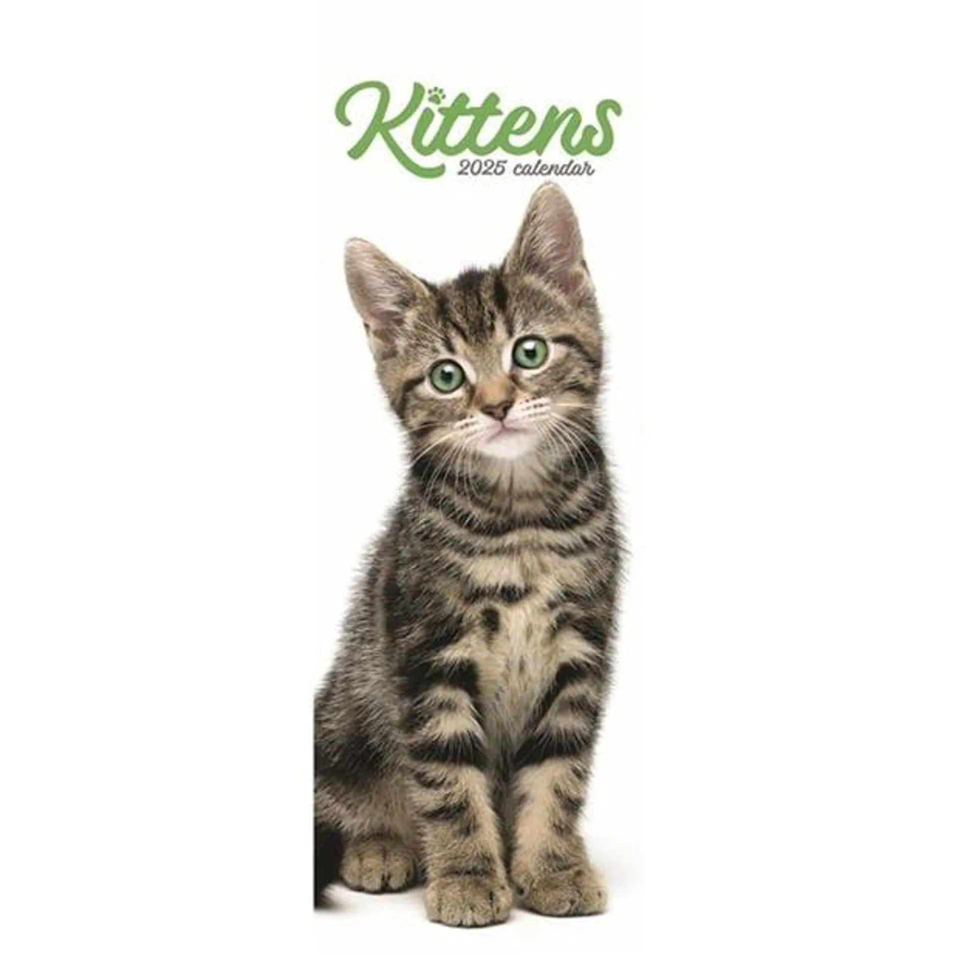 Kittens Calendar