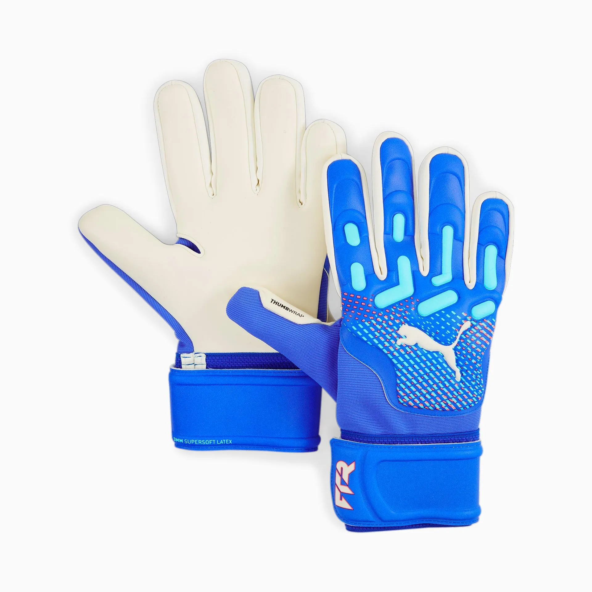 FUTURE Match Goalkeeper Gloves