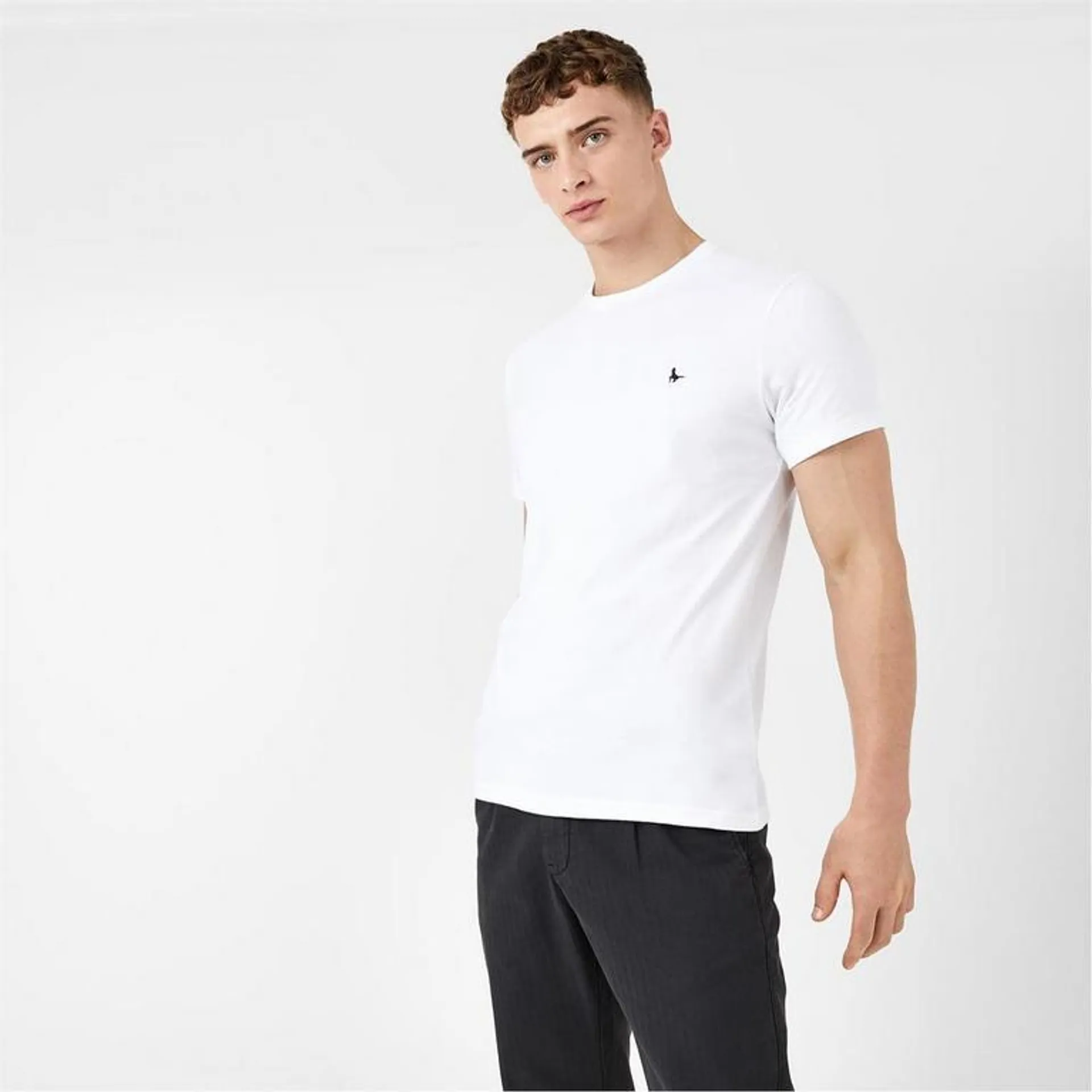 Sandleford T-Shirt Mens
