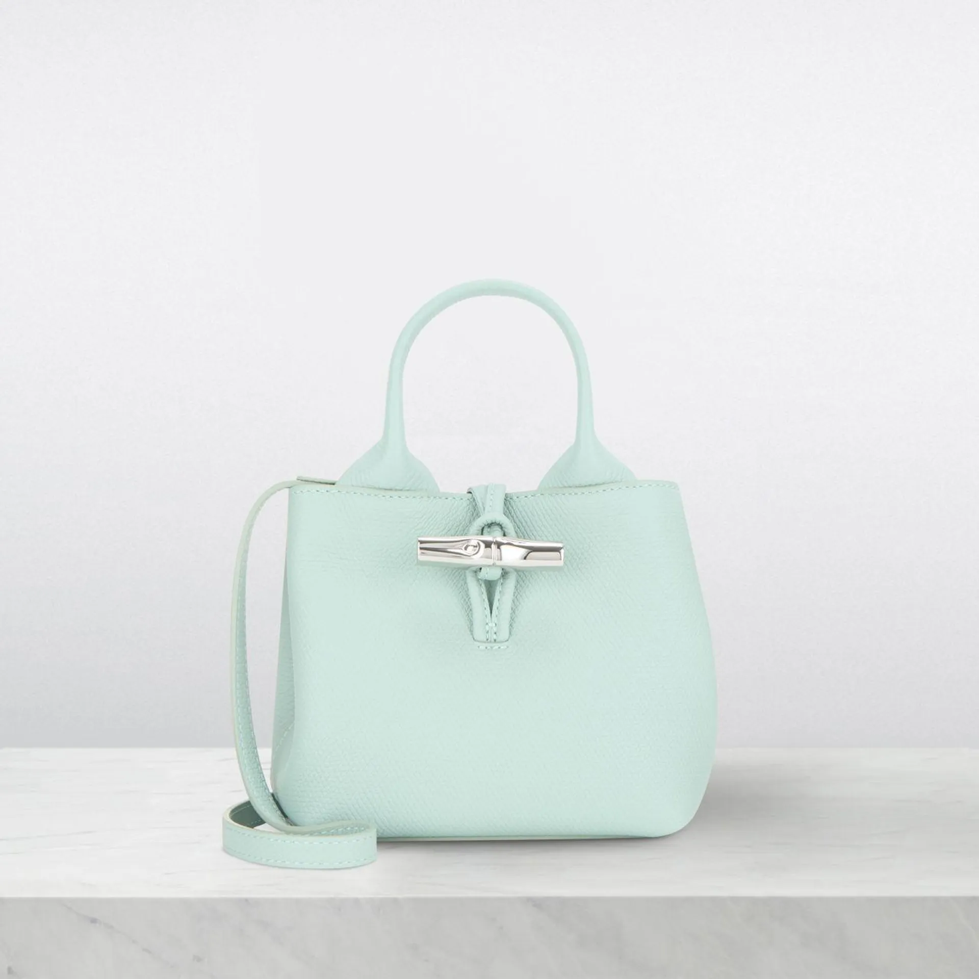 Le Roseau Small Leather Crossbody Bag