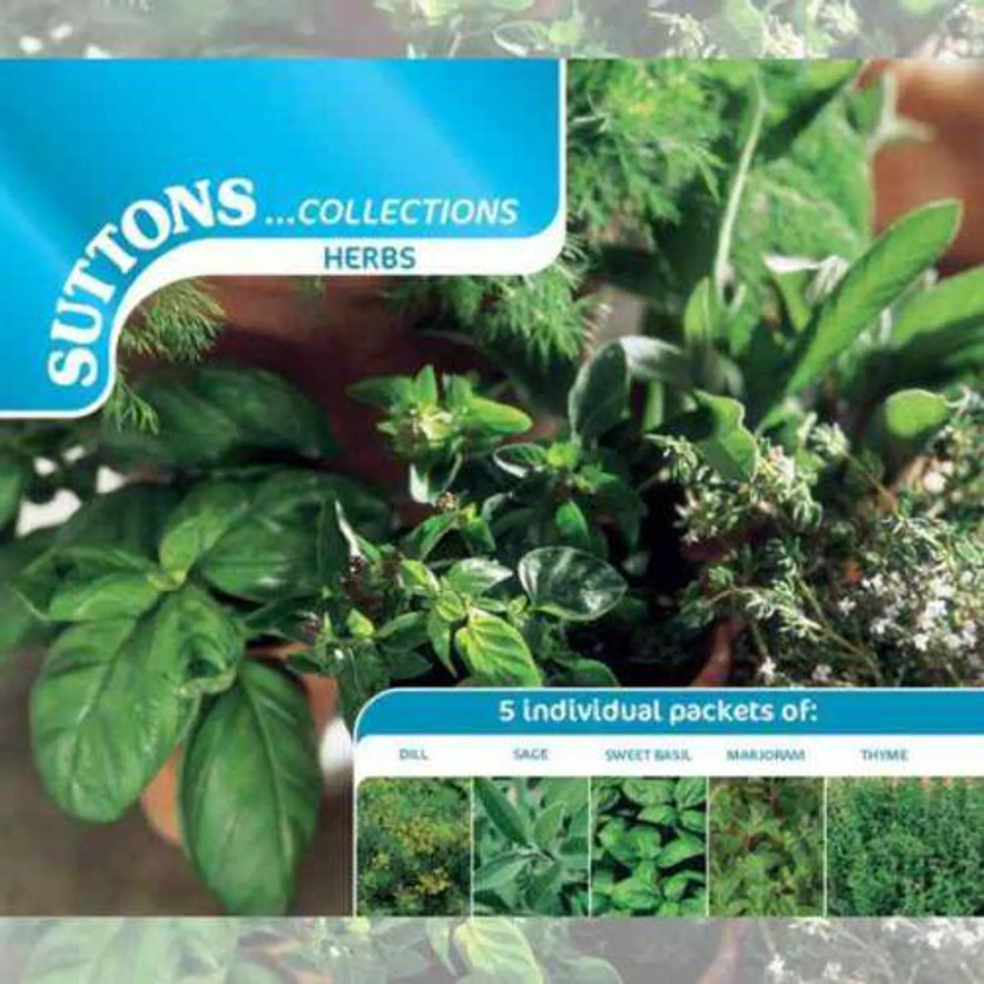 Suttons Herb Seed - Collection - 5 Packets of Seed