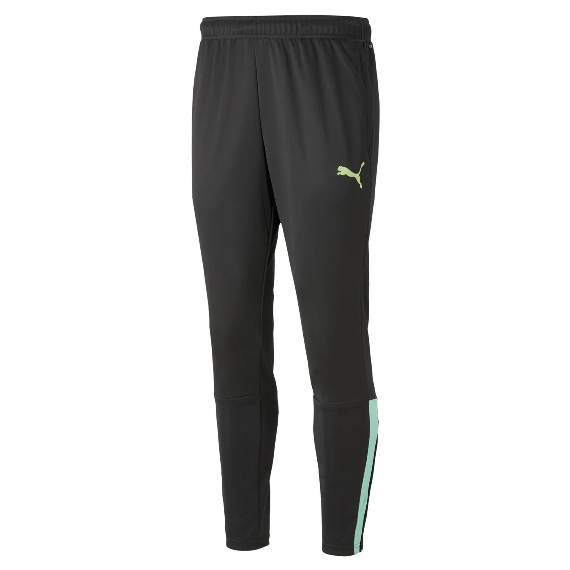 PUMA TEAMLIGA MENS TRAINING FOOTBALL PANTS
