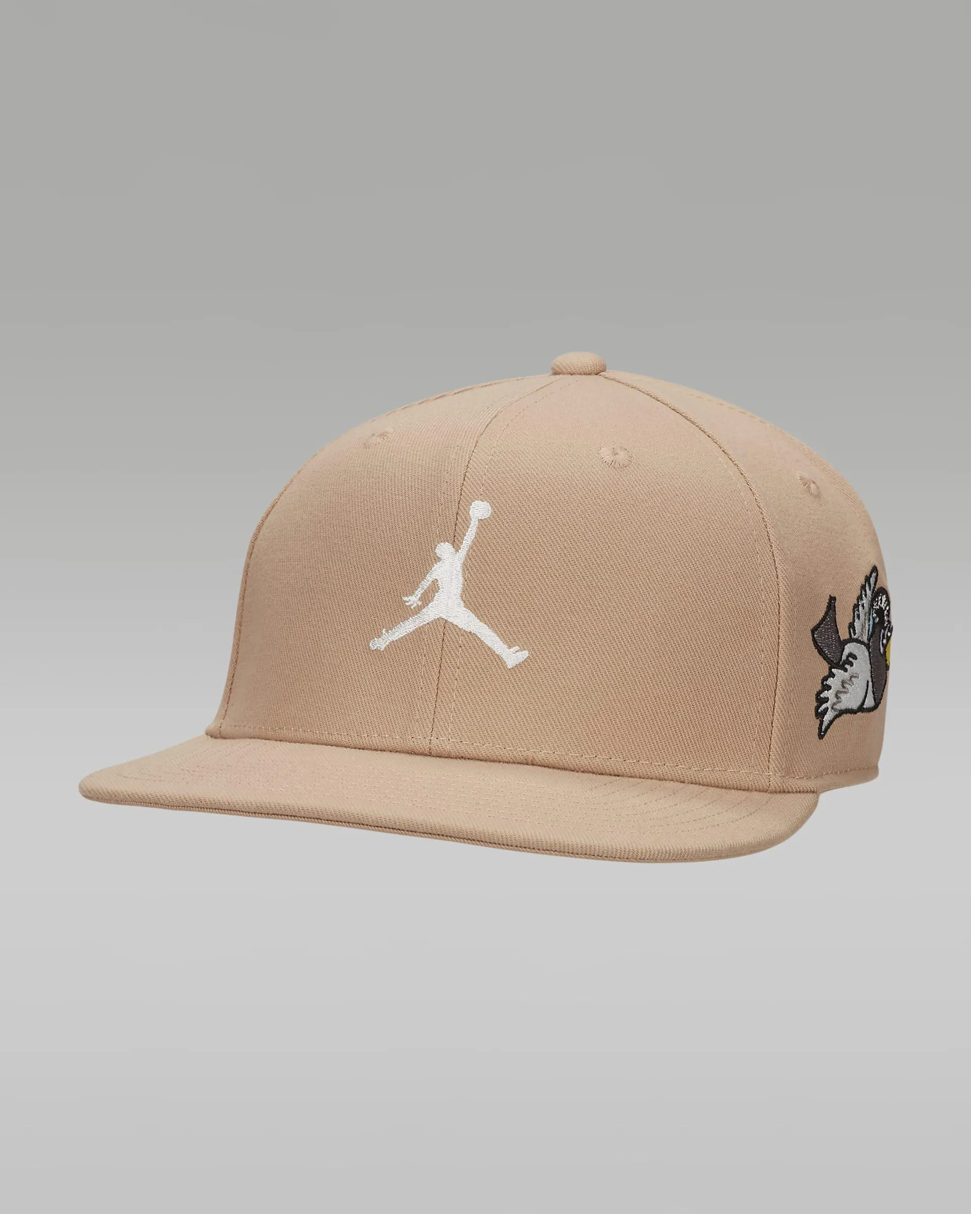 Jordan Pro Cap