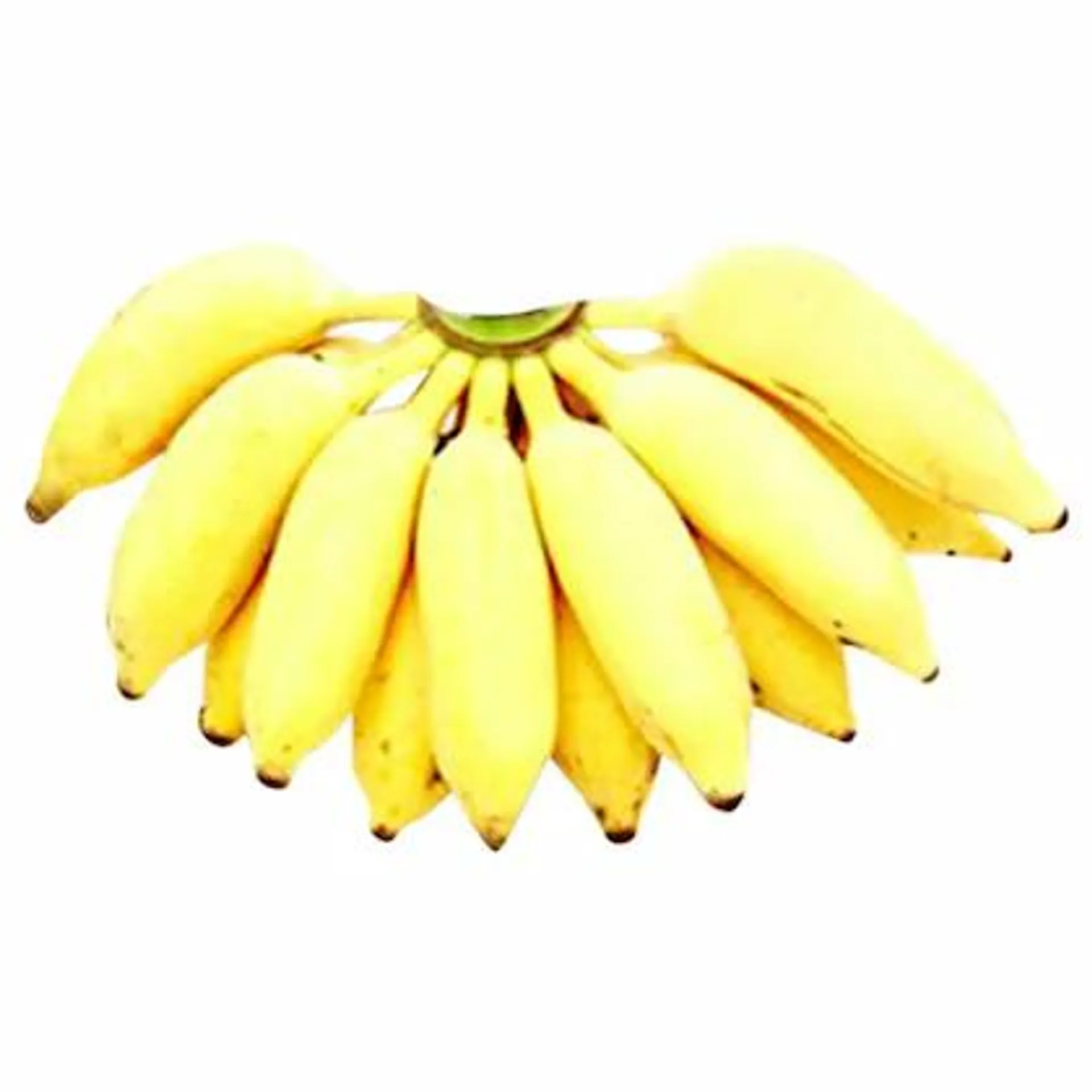 Private Label Banana Yellaki 12 pcs (Approx 750 g - 1000 g)