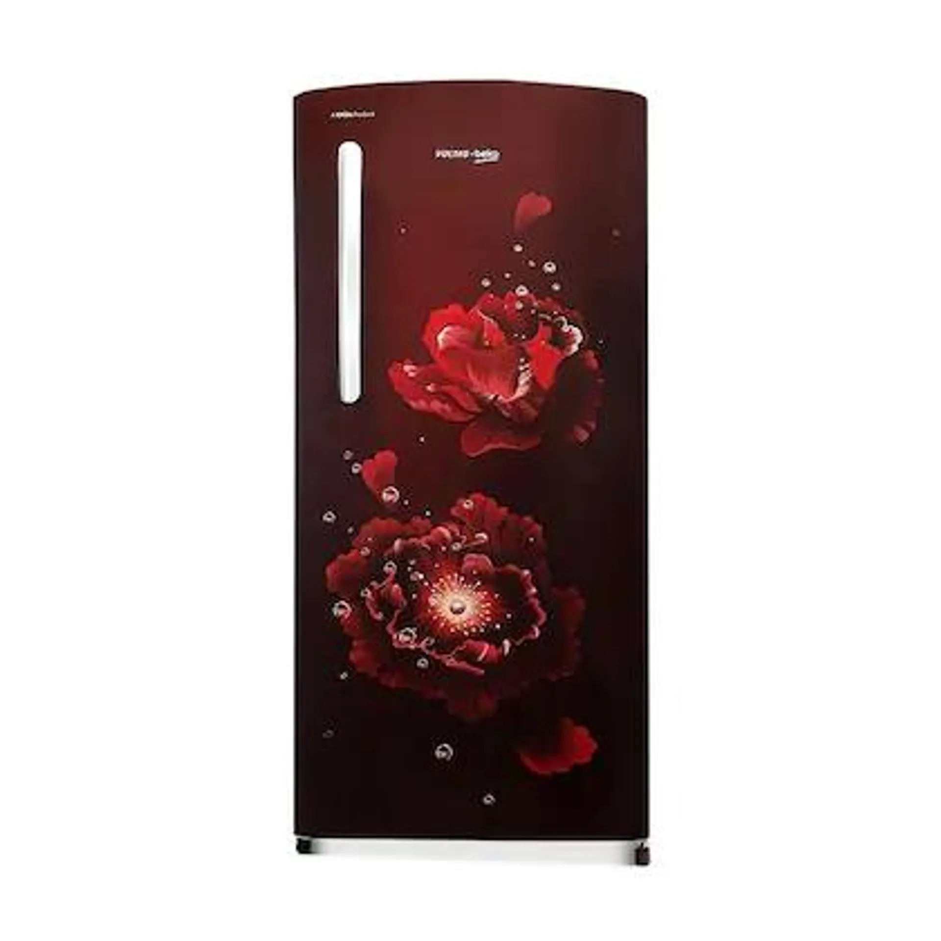 Voltas Beko 183 L Direct Cool 4 Star Refrigerator Fairy flower Wine RDC215B/W0FWE0M0000UGO