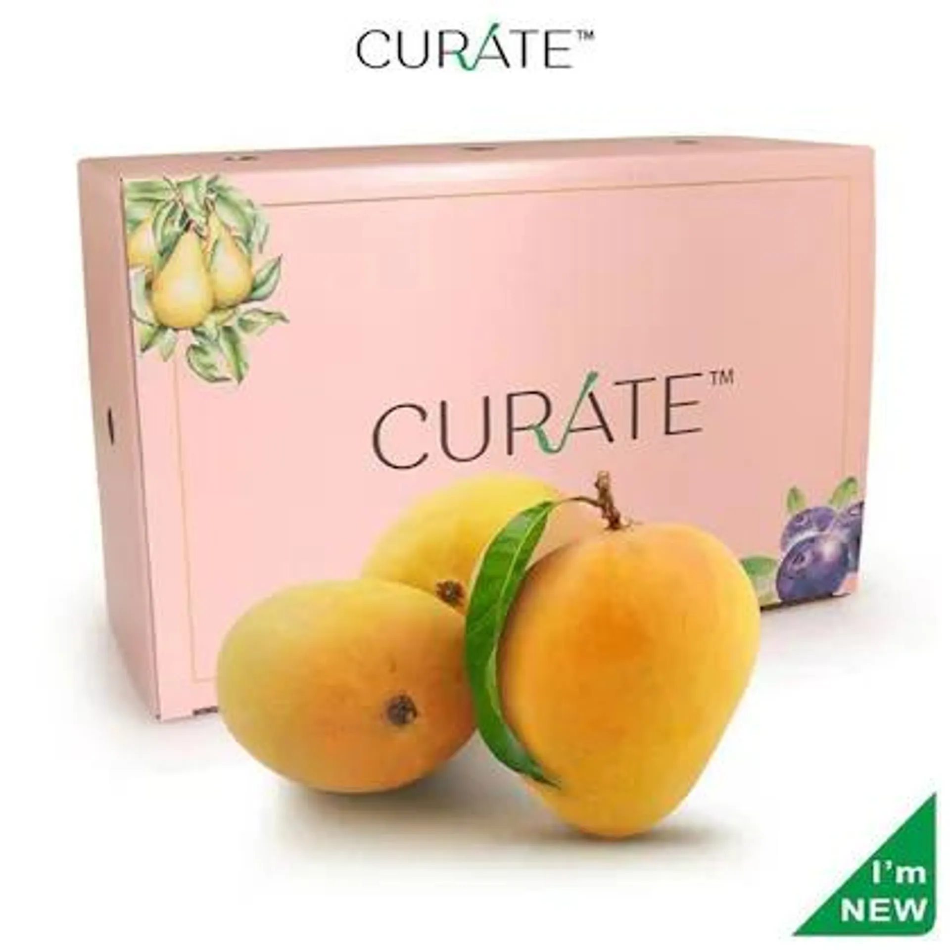 Curate Mango Alphonso Ratnagiri Premium Indian 6 pcs (Approx 1.42 kg - 1.67 kg)