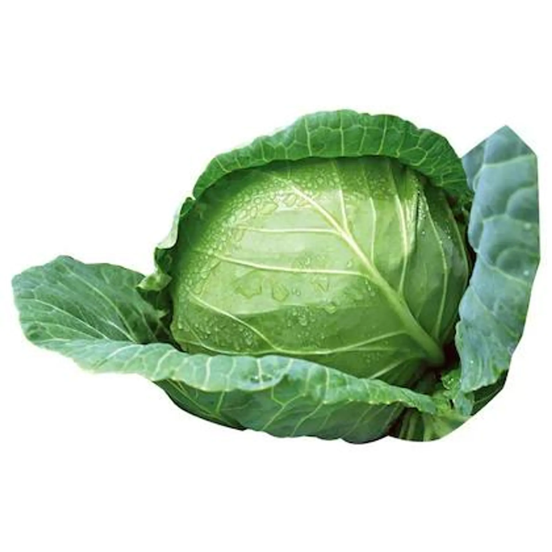 Cabbage per pc (Approx 600 g - 1000 g)