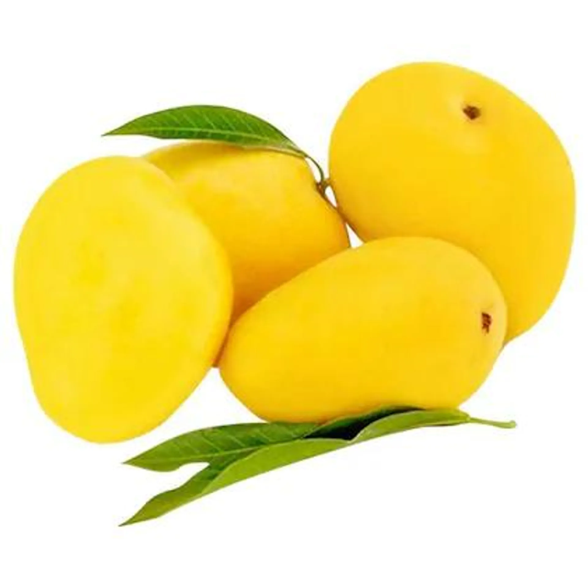 Mango Badami 4 pcs (Approx 1200 g-1400 g)