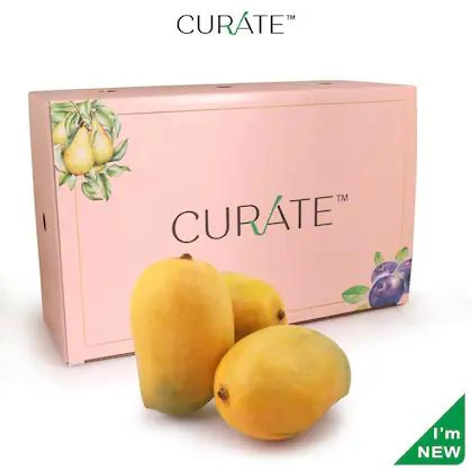 Curate Mango Kesar Gujarat Premium Indian 6 Pc (Approx 1.63 kg - 1.9 kg)