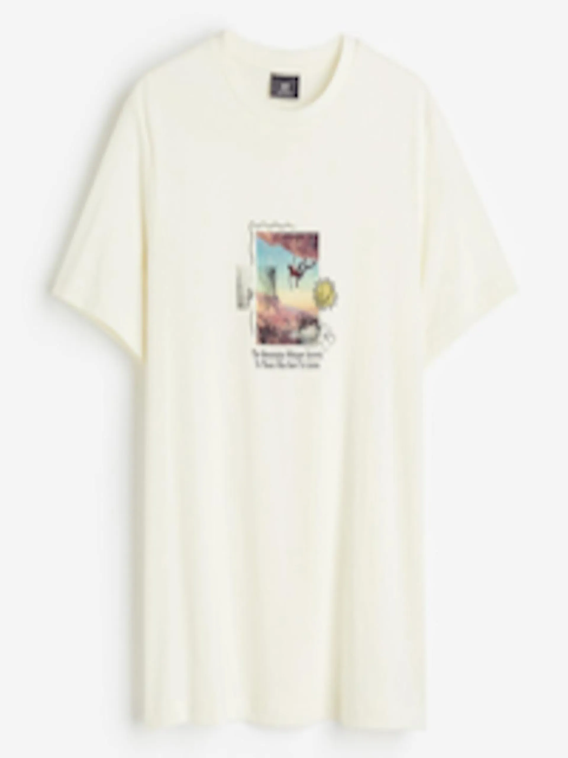 Men Pure Cotton Regular Fit Printed T-shirt