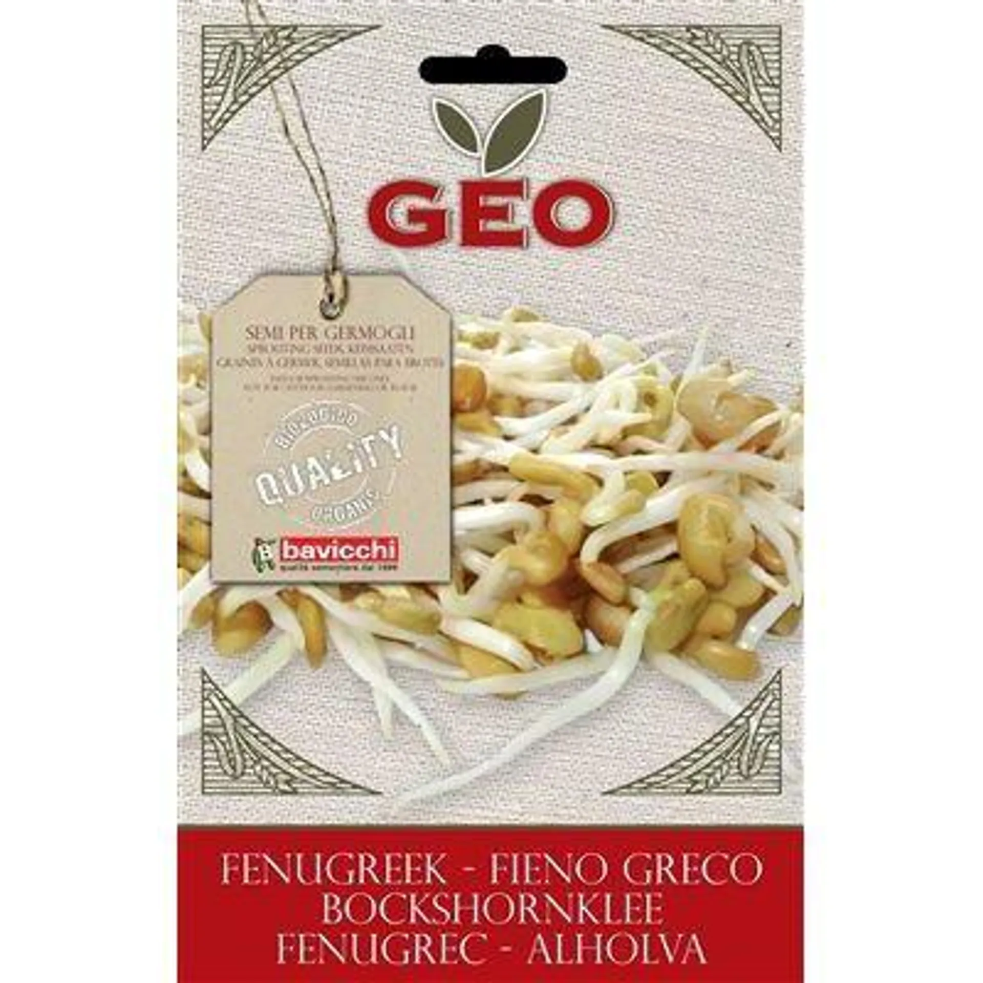 GERMOGLI - FIENO GRECO -