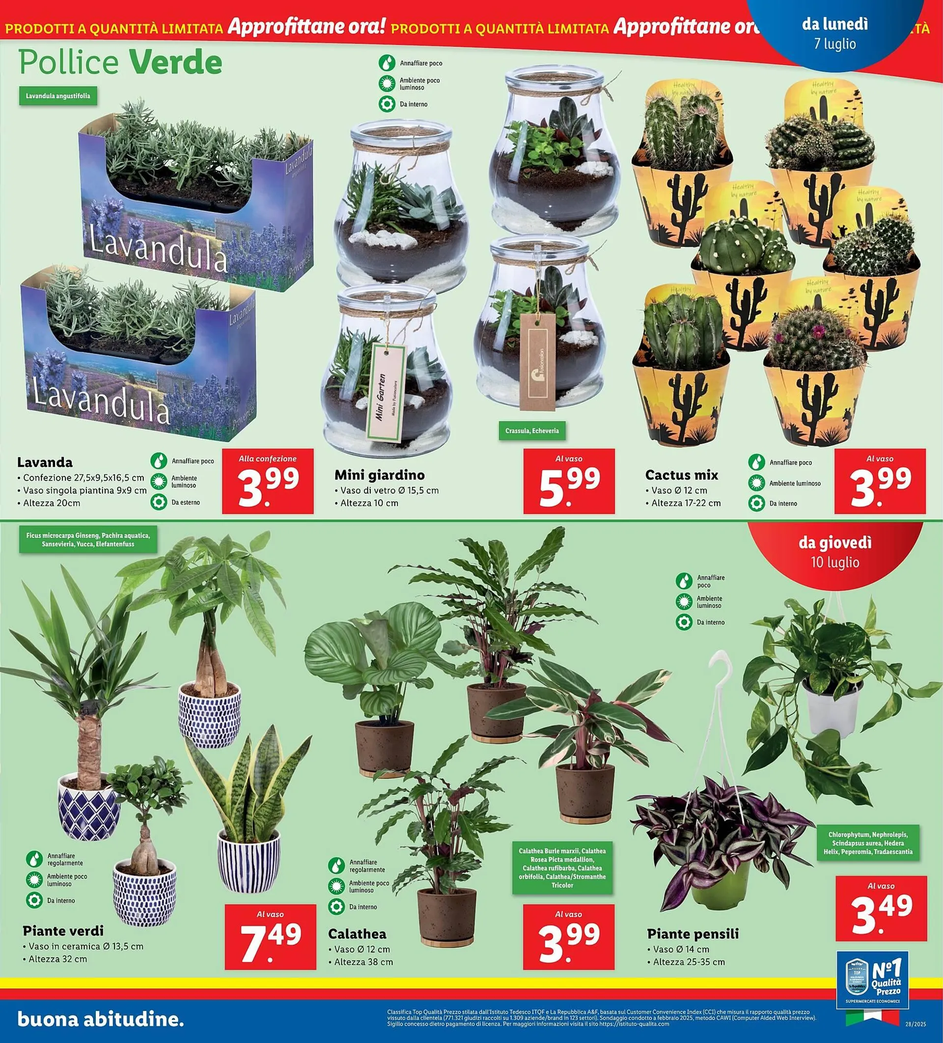 Volantino Lidl da 7 luglio a 13 luglio di 2025 - Pagina del volantino 33