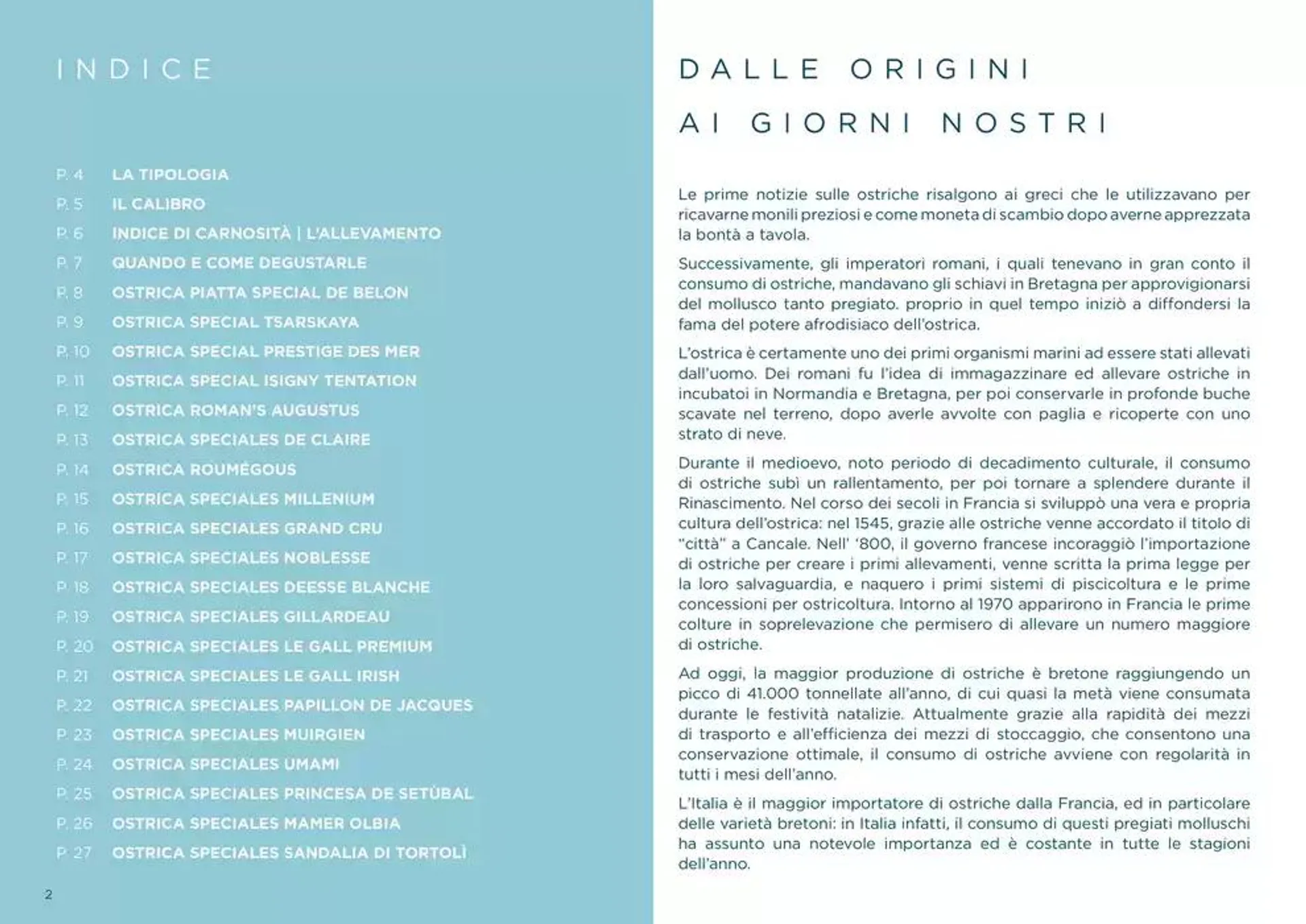 Centro Cash Ostriche da 4 dicembre a 31 gennaio di 2025 - Pagina del volantino 2