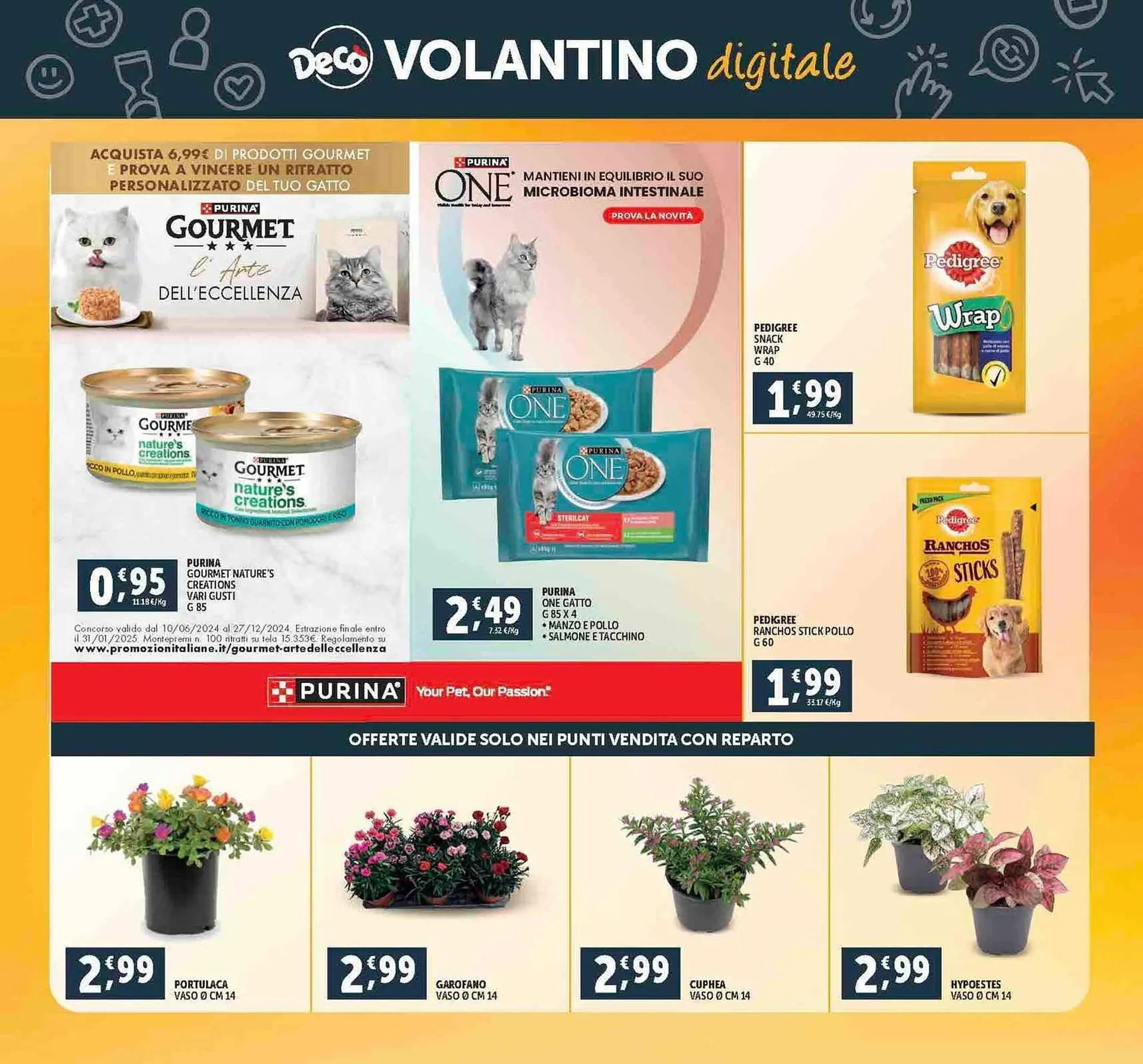 Volantino Deco Maxistore - 31