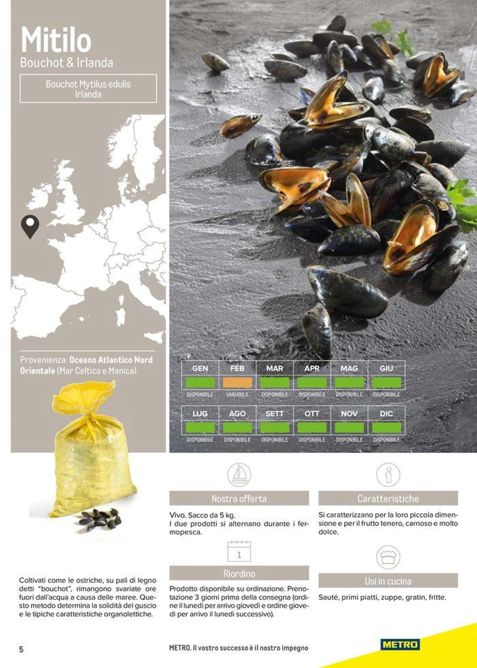 Catalogo Frutti di mare da 11 luglio a 31 luglio di 2025 - Pagina del volantino 5