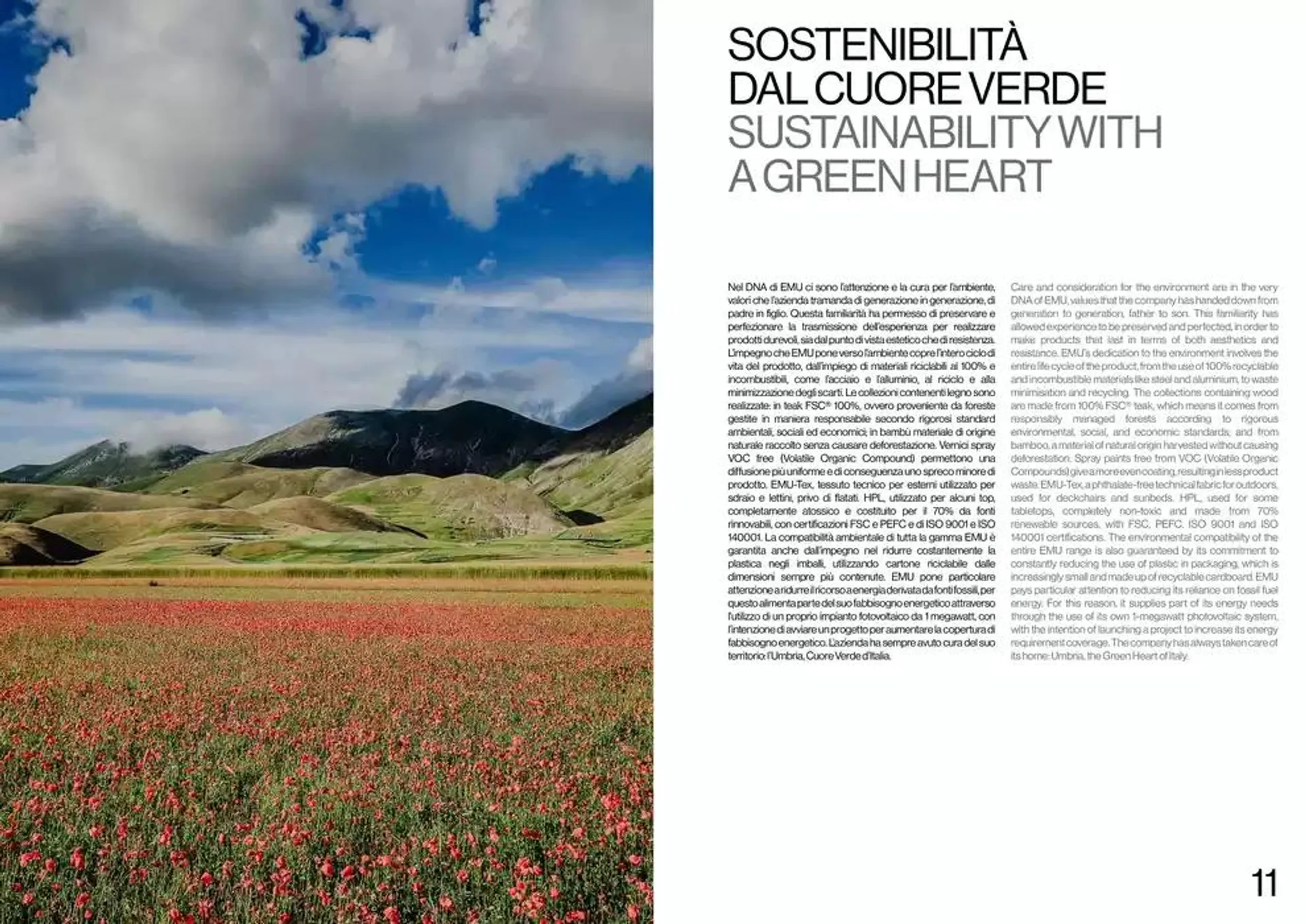 2025 collections da 14 febbraio a 31 dicembre di 2025 - Pagina del volantino 7