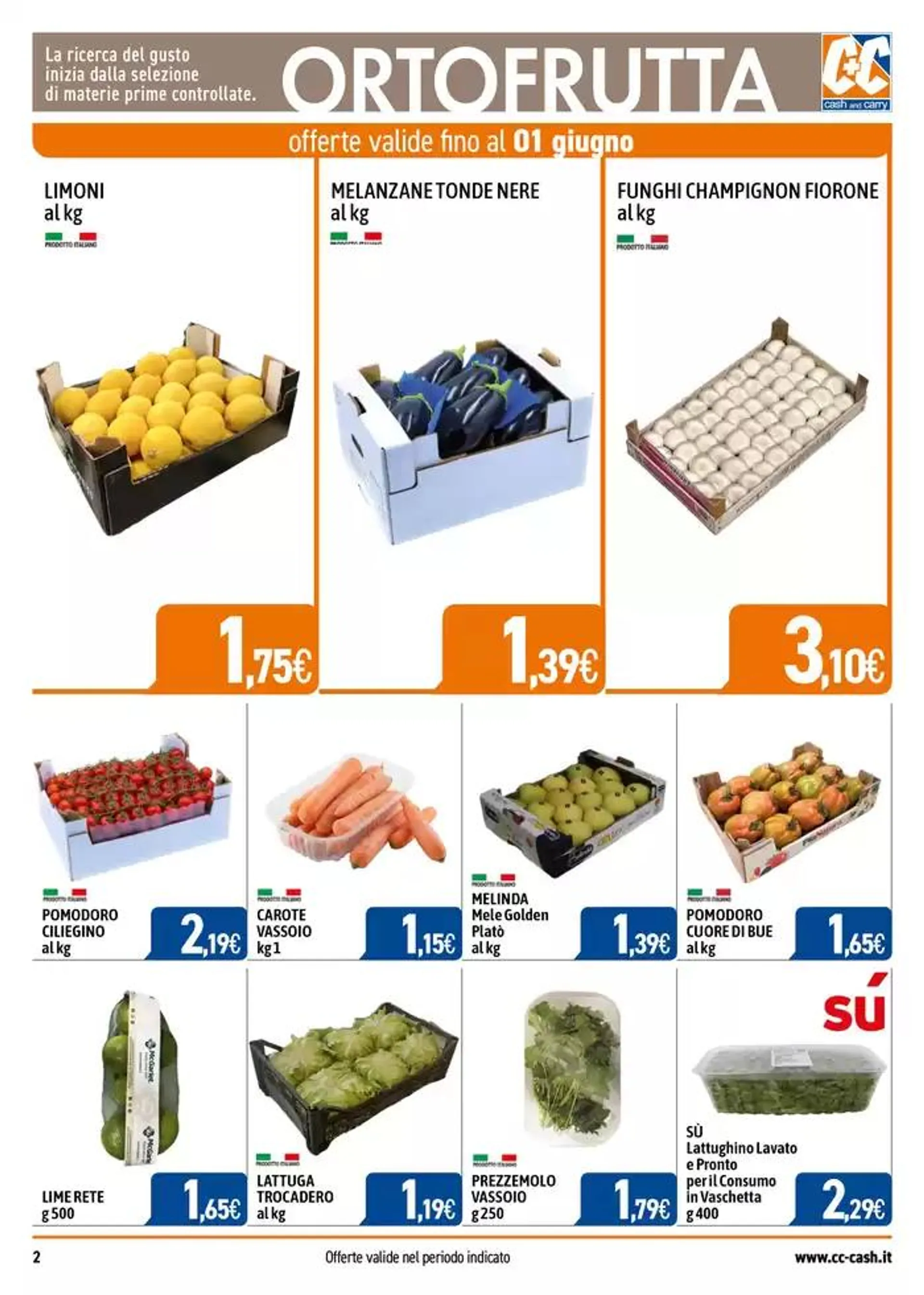 Professional da 19 maggio a 15 giugno di 2025 - Pagina del volantino 2
