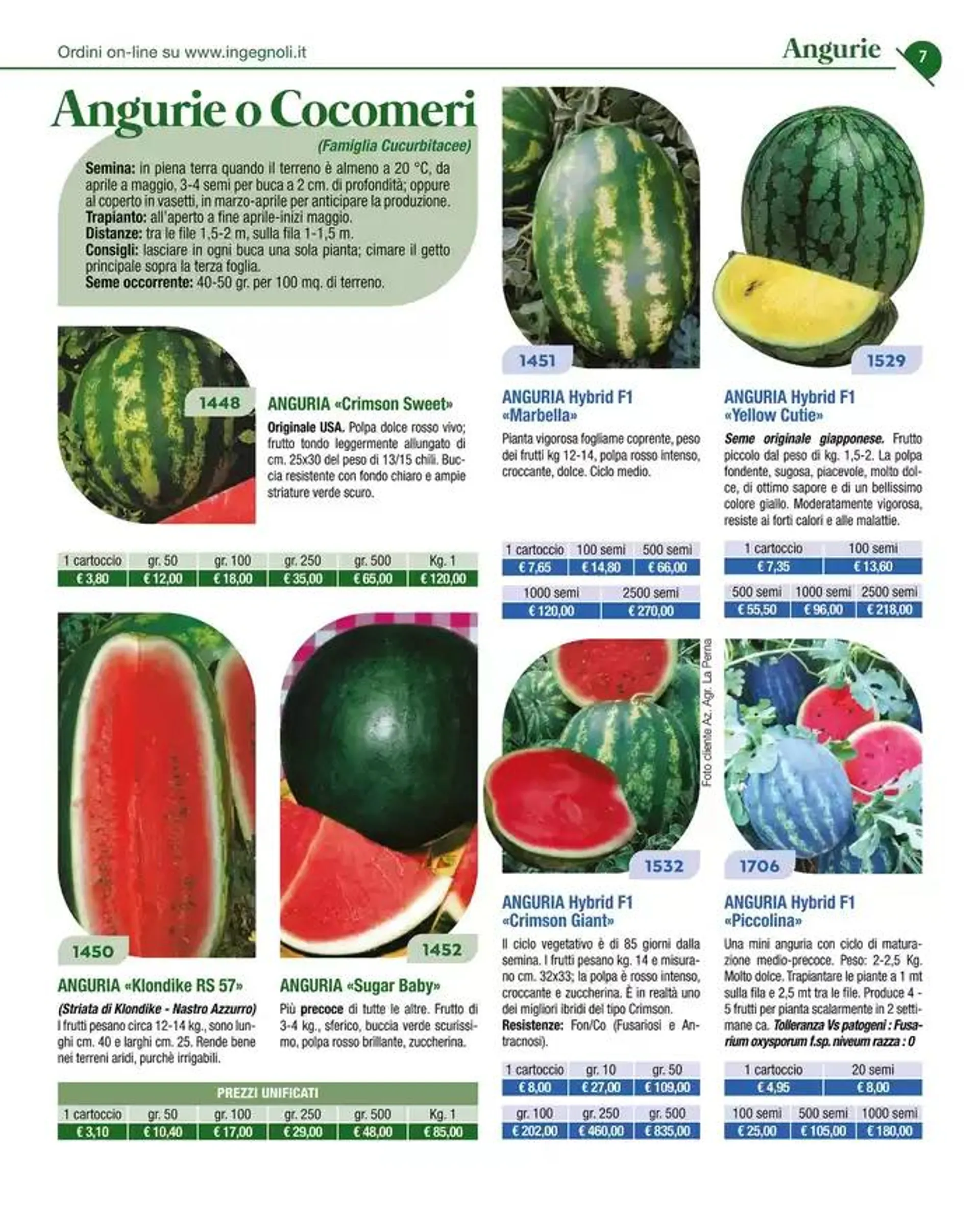 Catalogo guida 2025 da 20 gennaio a 31 dicembre di 2025 - Pagina del volantino 9