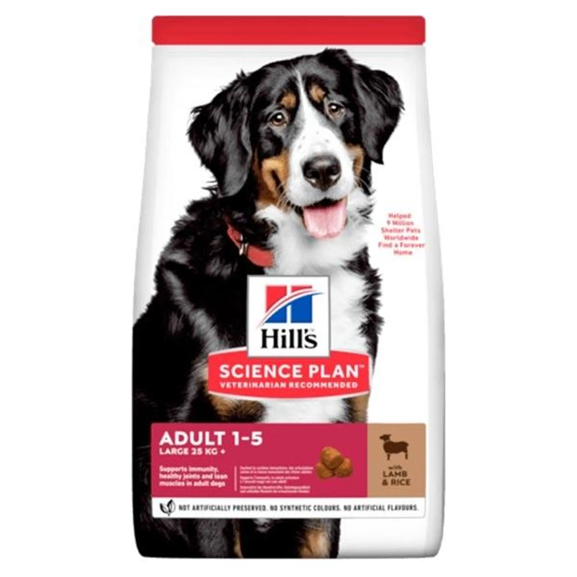 Hill's Pet Nutrition - Science Plan Adult Large Breed con Agnello e Riso