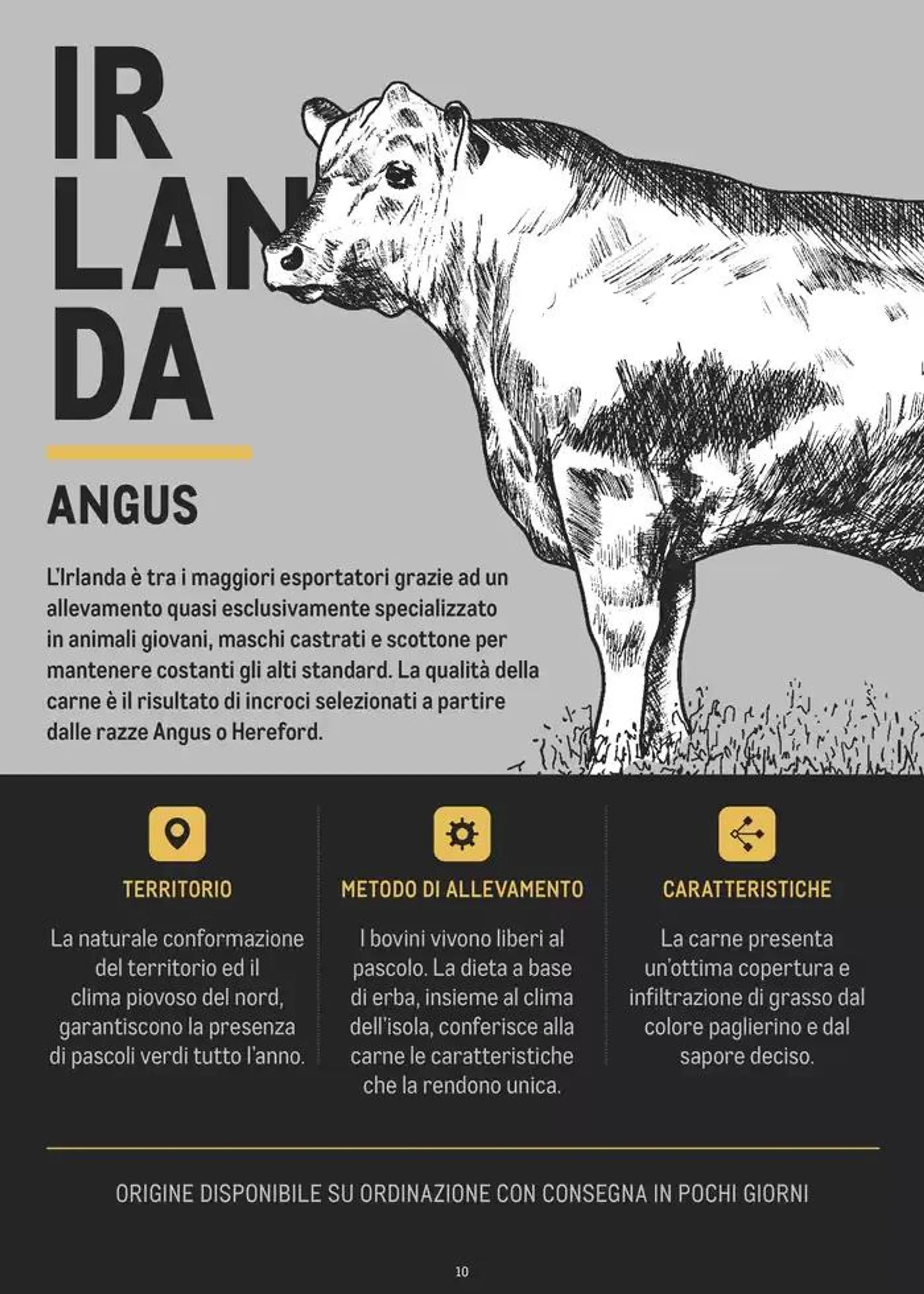 CATALOGO CARNE 2024 da 2 gennaio a 31 agosto di 2025 - Pagina del volantino 10