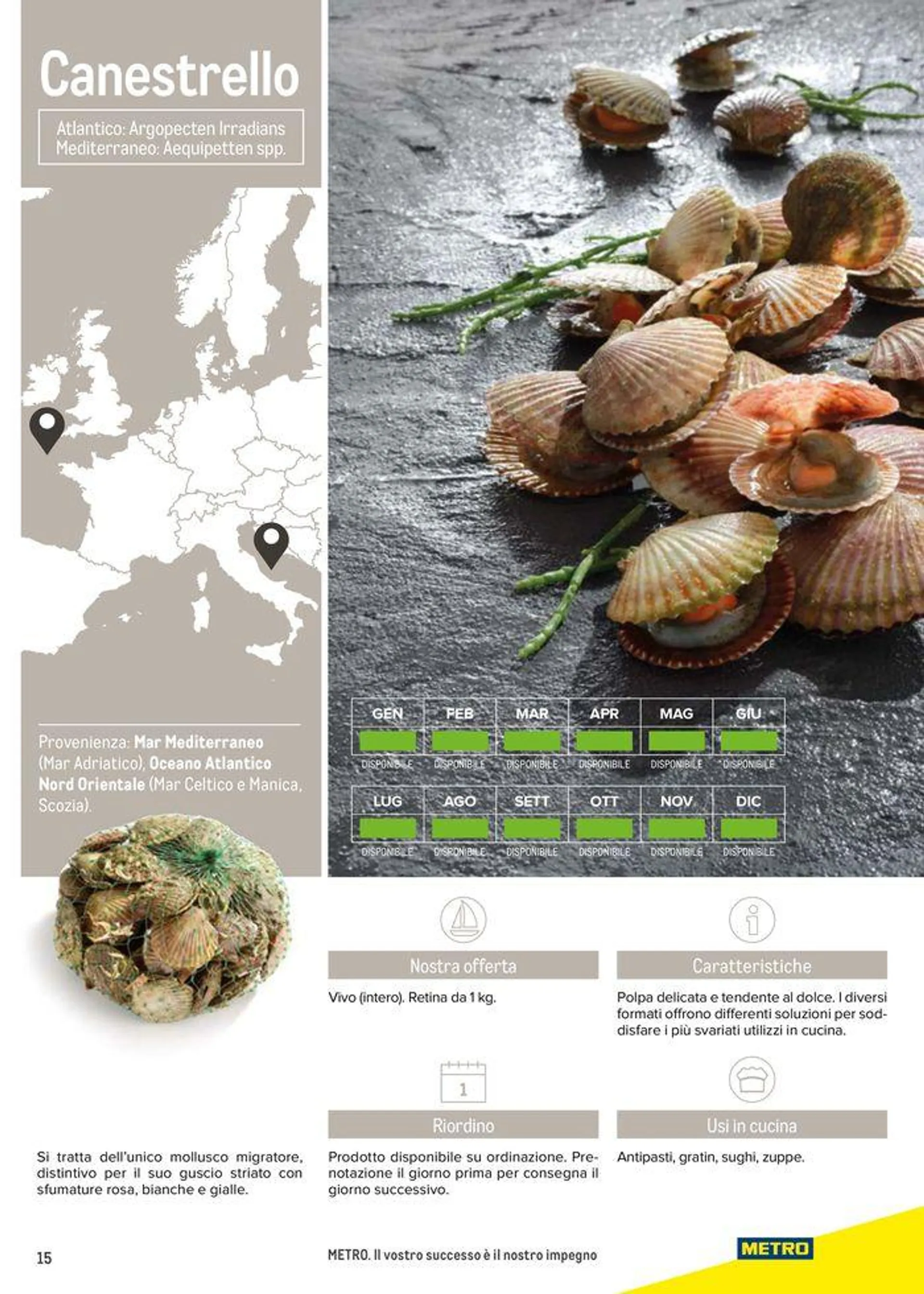 Catalogo Frutti di mare da 11 luglio a 31 luglio di 2025 - Pagina del volantino 15
