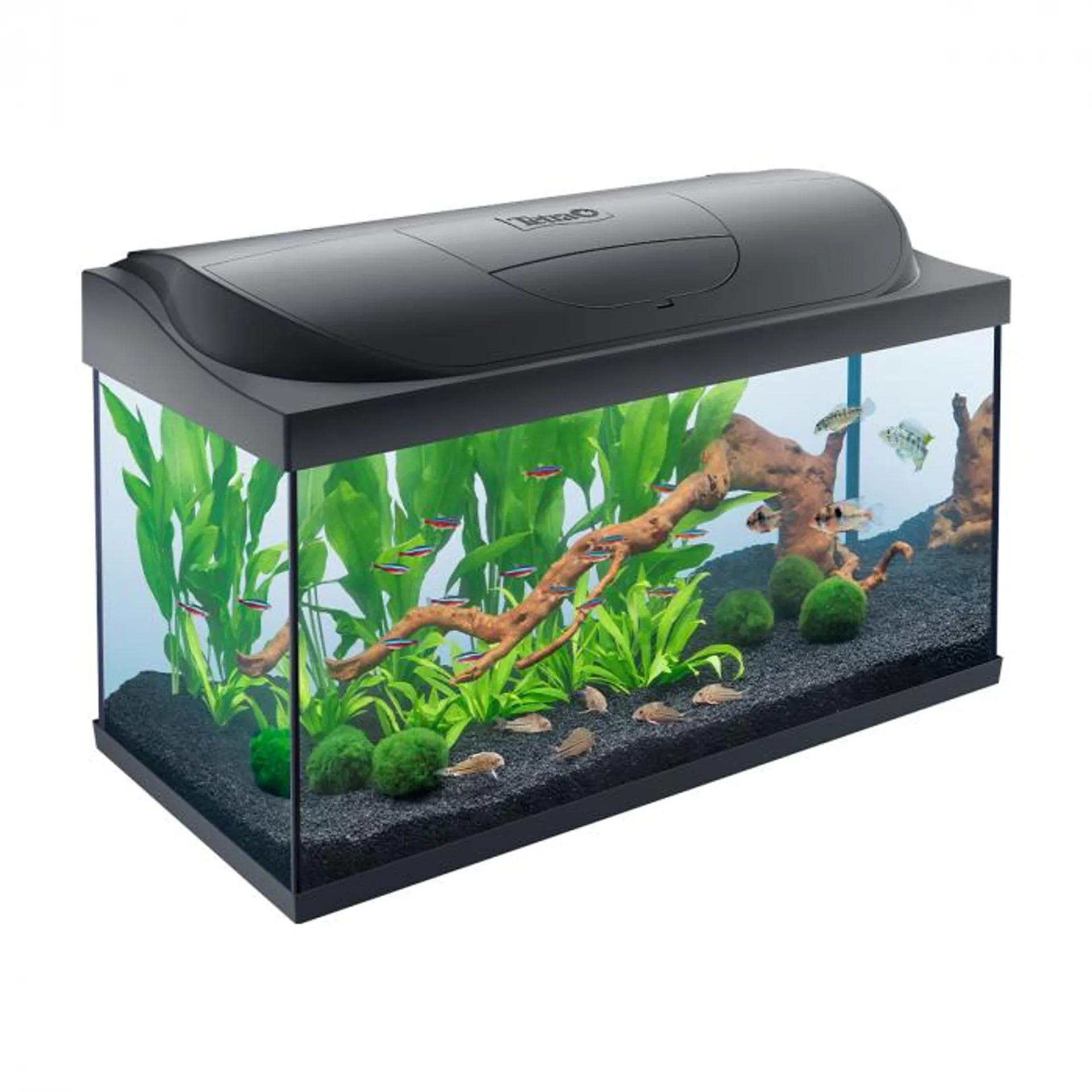 Acquario Starter Line Tetra 105 L