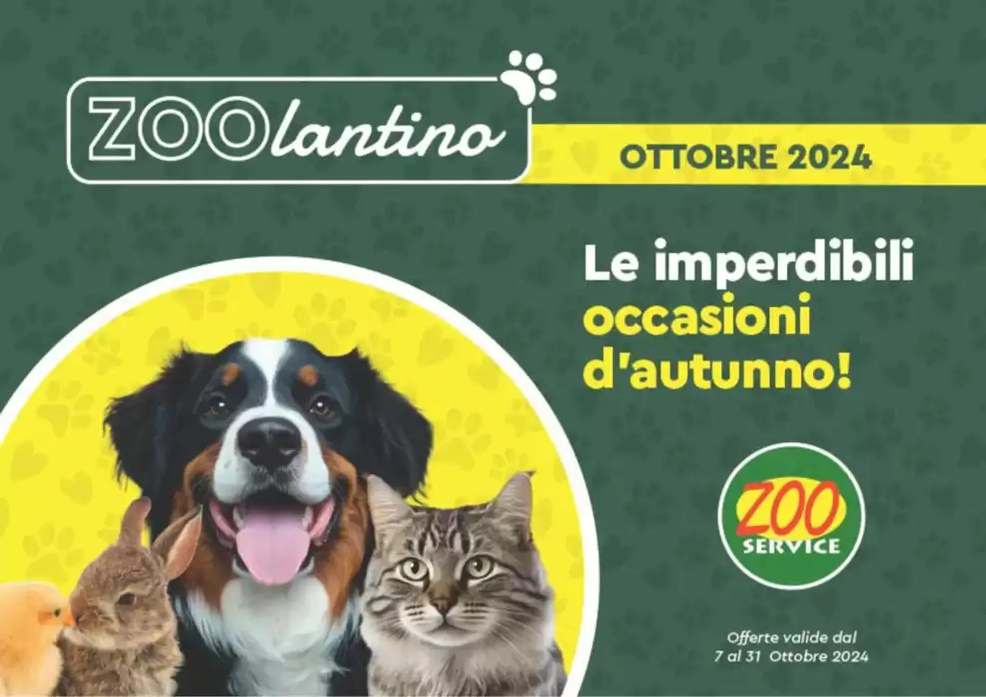 Le imperdibili occasioni d'autunno! da 8 ottobre a 31 ottobre di 2024 - Pagina del volantino 1