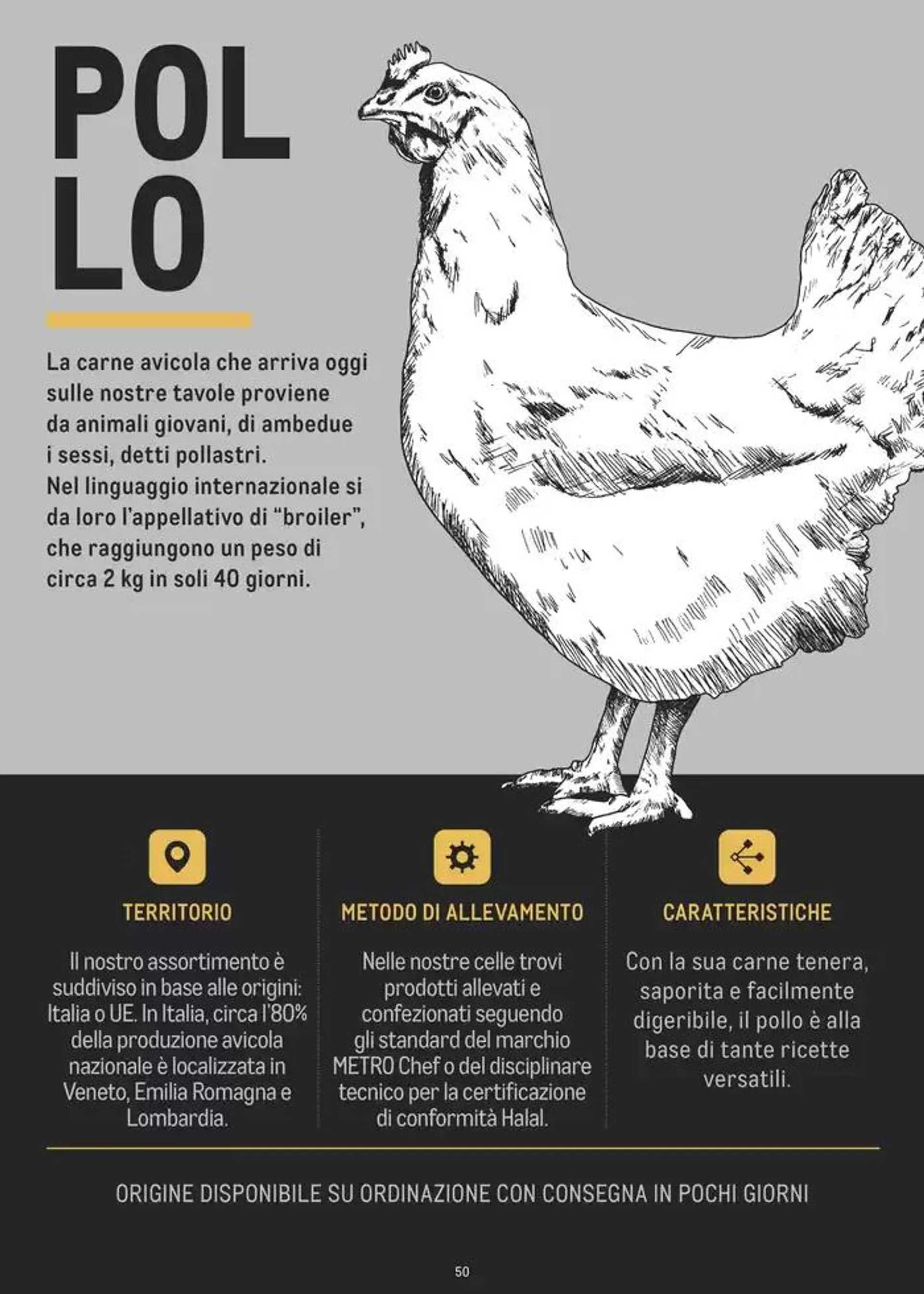 CATALOGO CARNE 2024 da 2 gennaio a 31 agosto di 2025 - Pagina del volantino 50