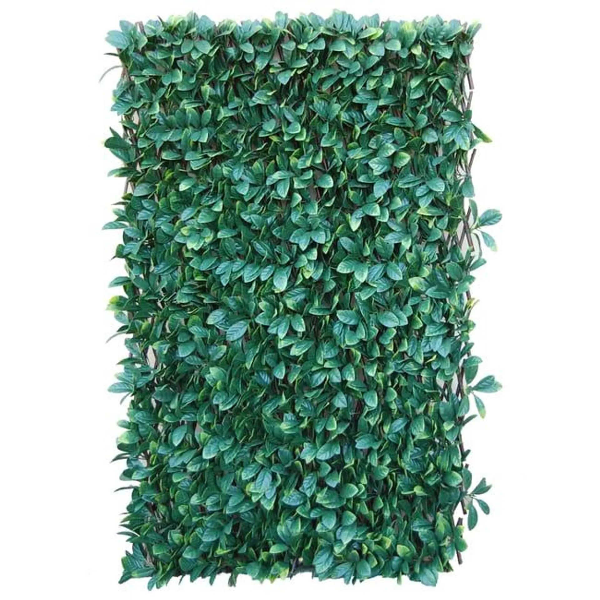 Traliccio estensibile NATERIAL 3D Osmanto in polietilene verde L 200 x H 100 cm