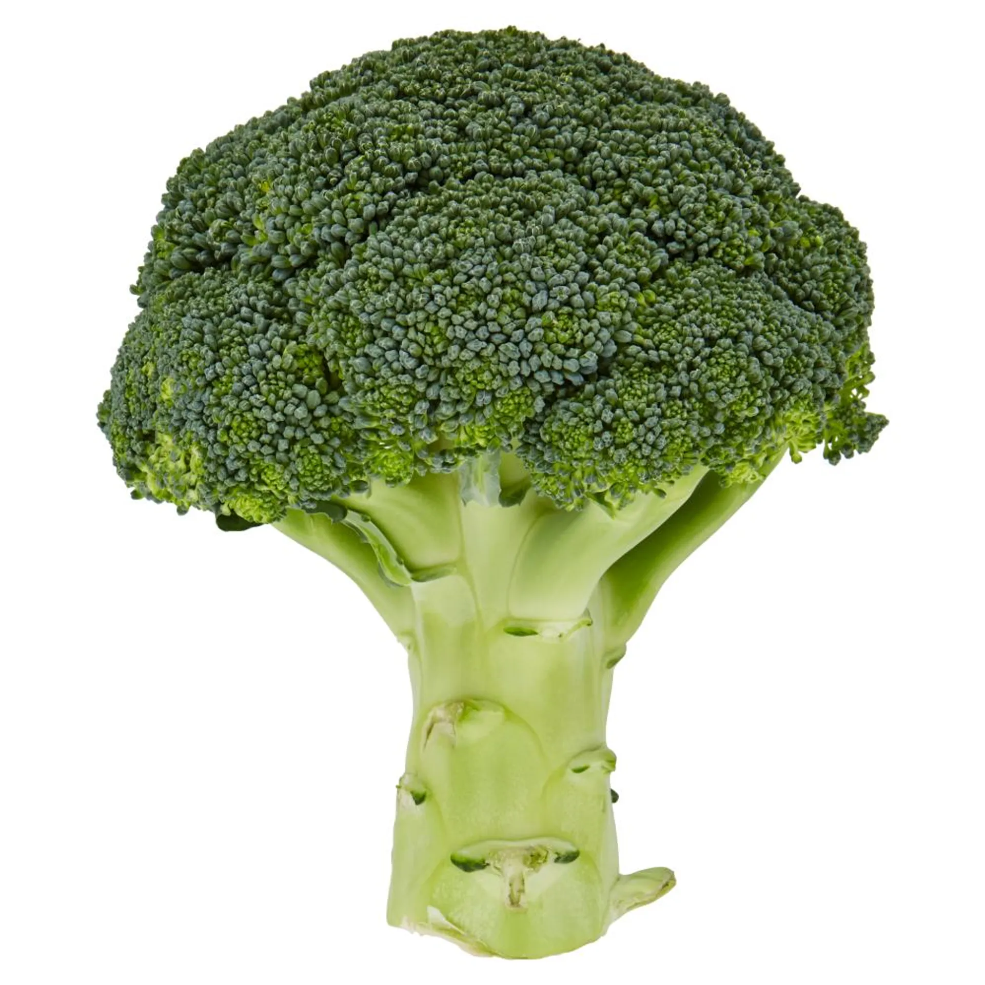 Broccoli 500 g