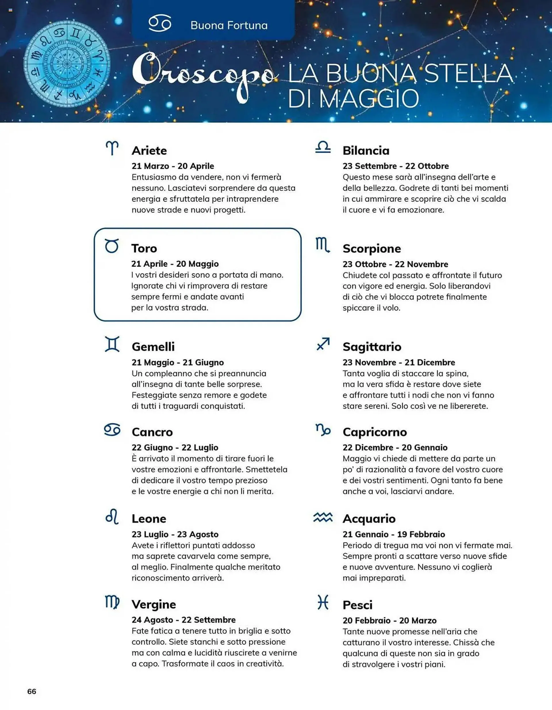 Volantino Basko da 8 maggio a 30 giugno di 2025 - Pagina del volantino 134