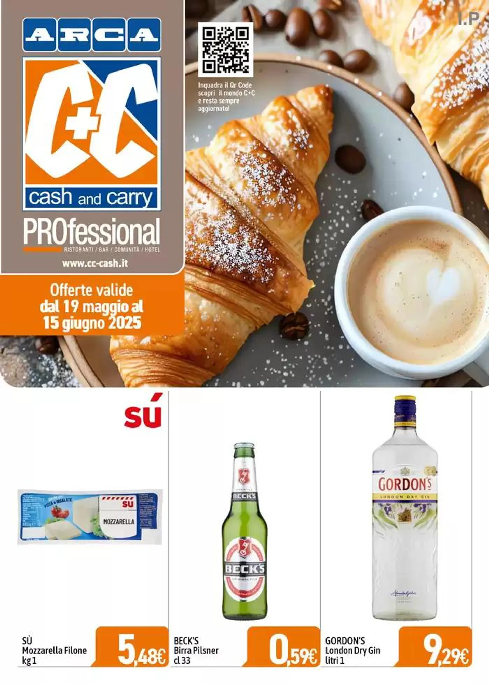 Professional - 1
