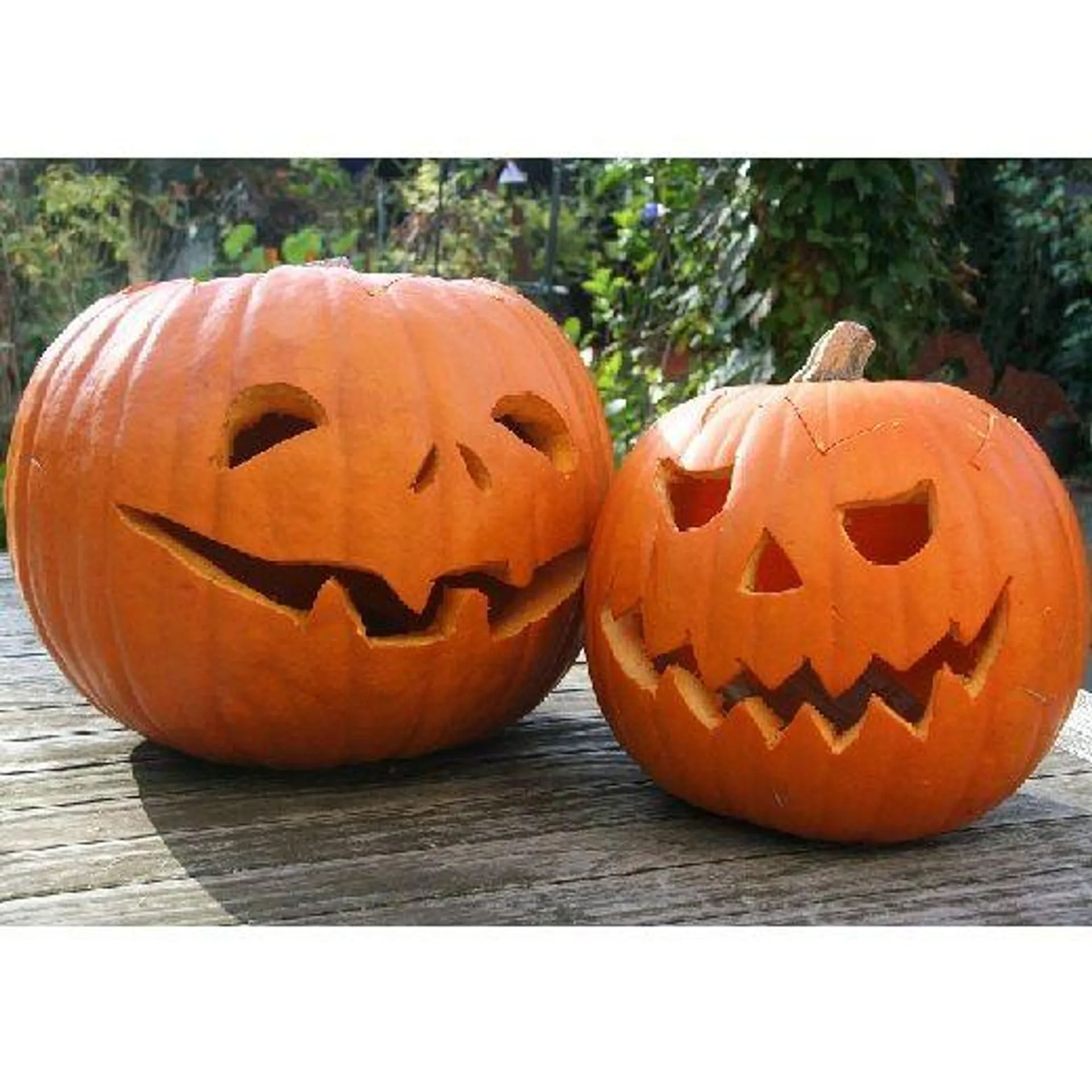 ZUCCA DI HALLOWEEN JACK O'LANTERN