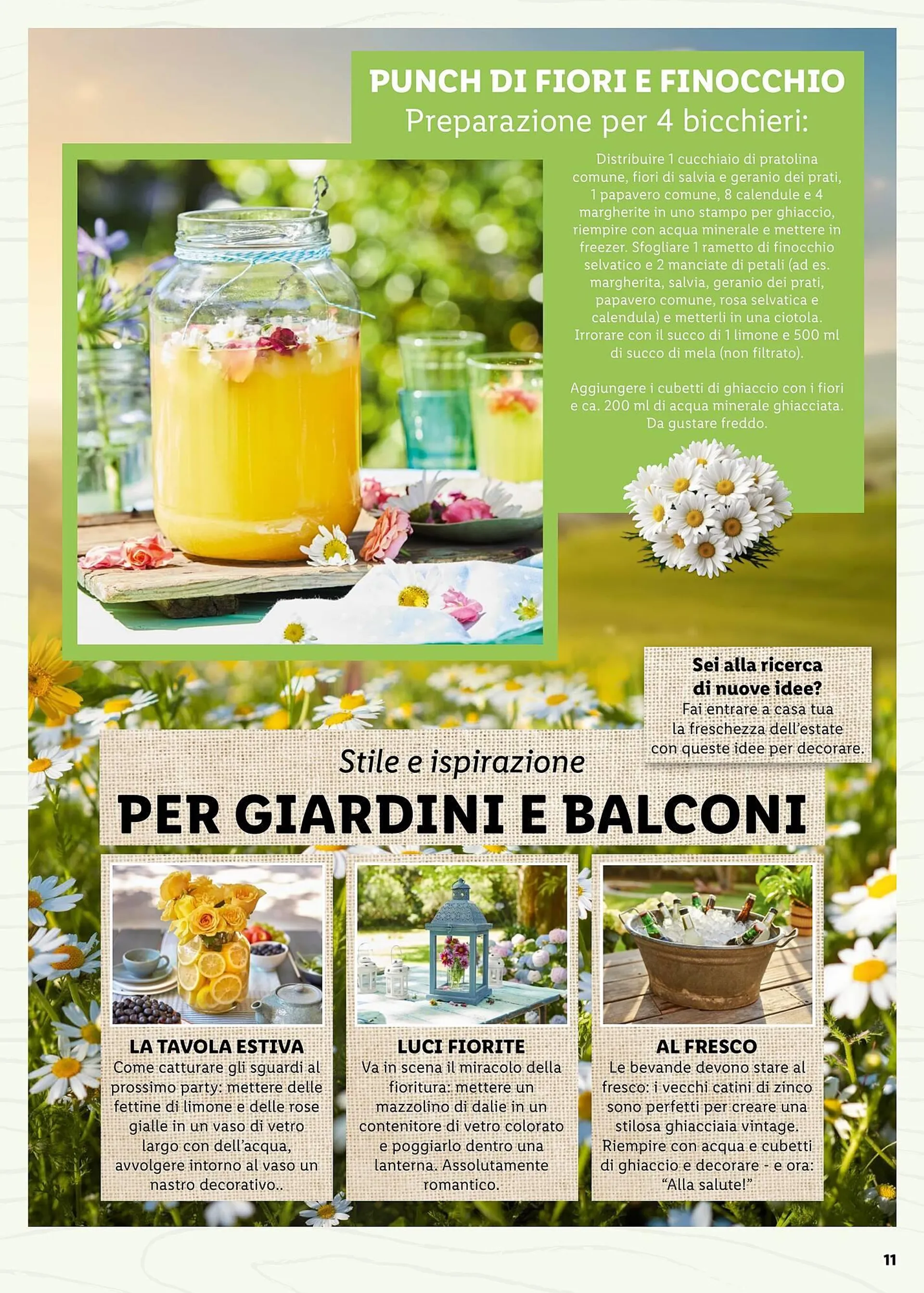 Volantino Lidl da 4 aprile a 30 aprile di 2025 - Pagina del volantino 11