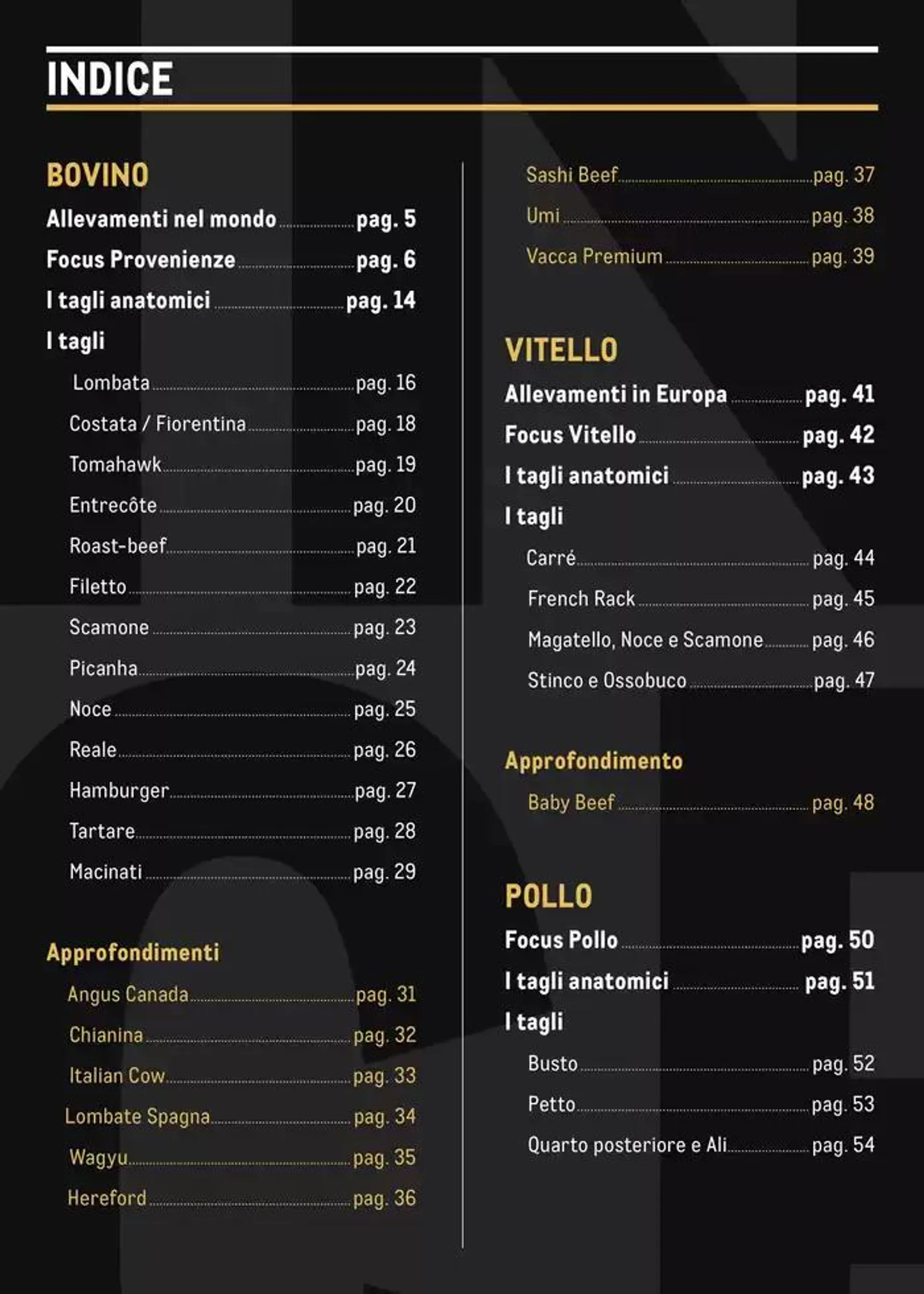 CATALOGO CARNE 2024 da 2 gennaio a 31 agosto di 2025 - Pagina del volantino 2