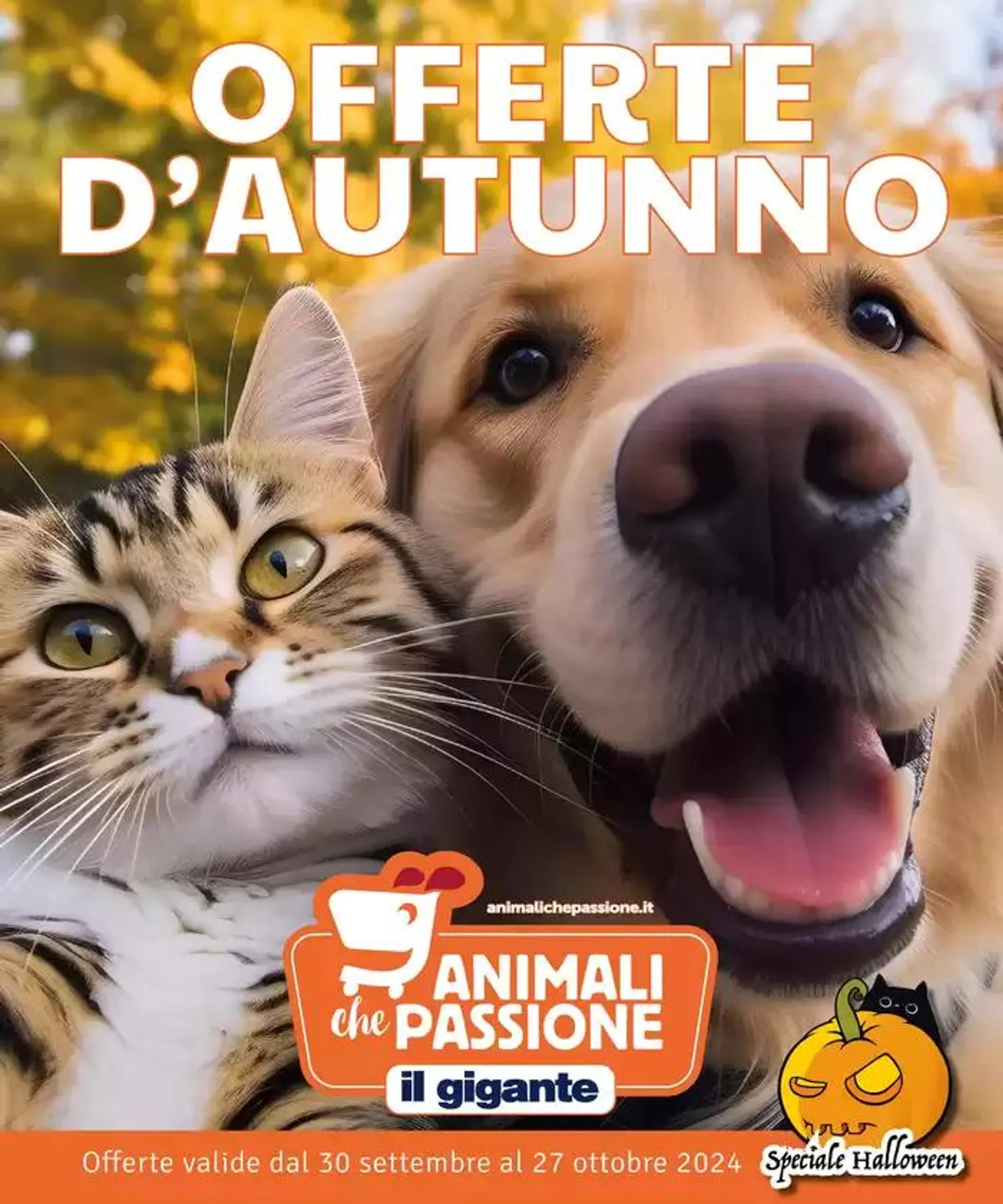 Offerte dautunno - 1