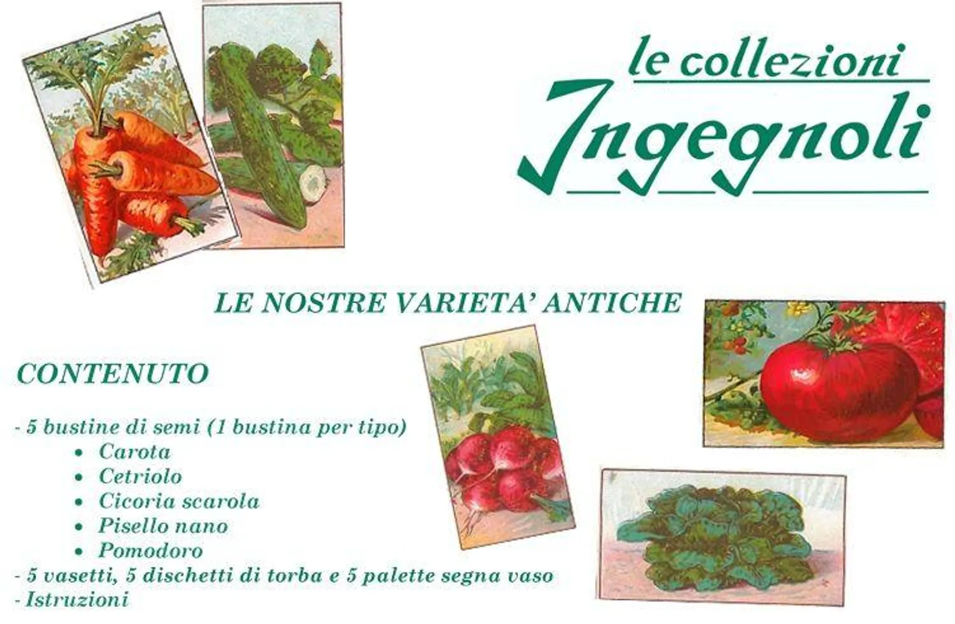 LE COLLEZIONI INGEGNOLI - LE NOSTRE VARIETA' ANTICHE